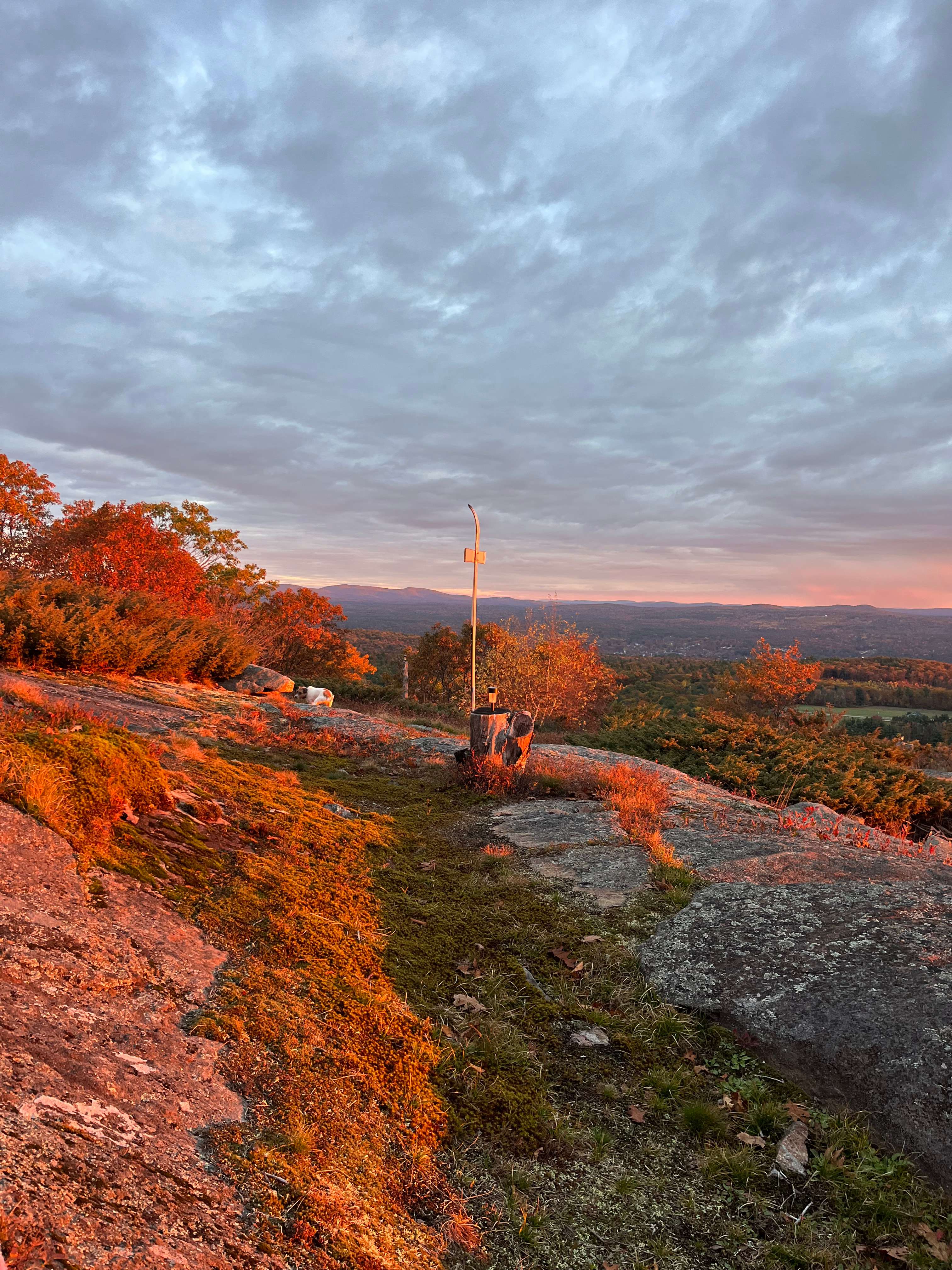 Hussey Mountain Tree Farm