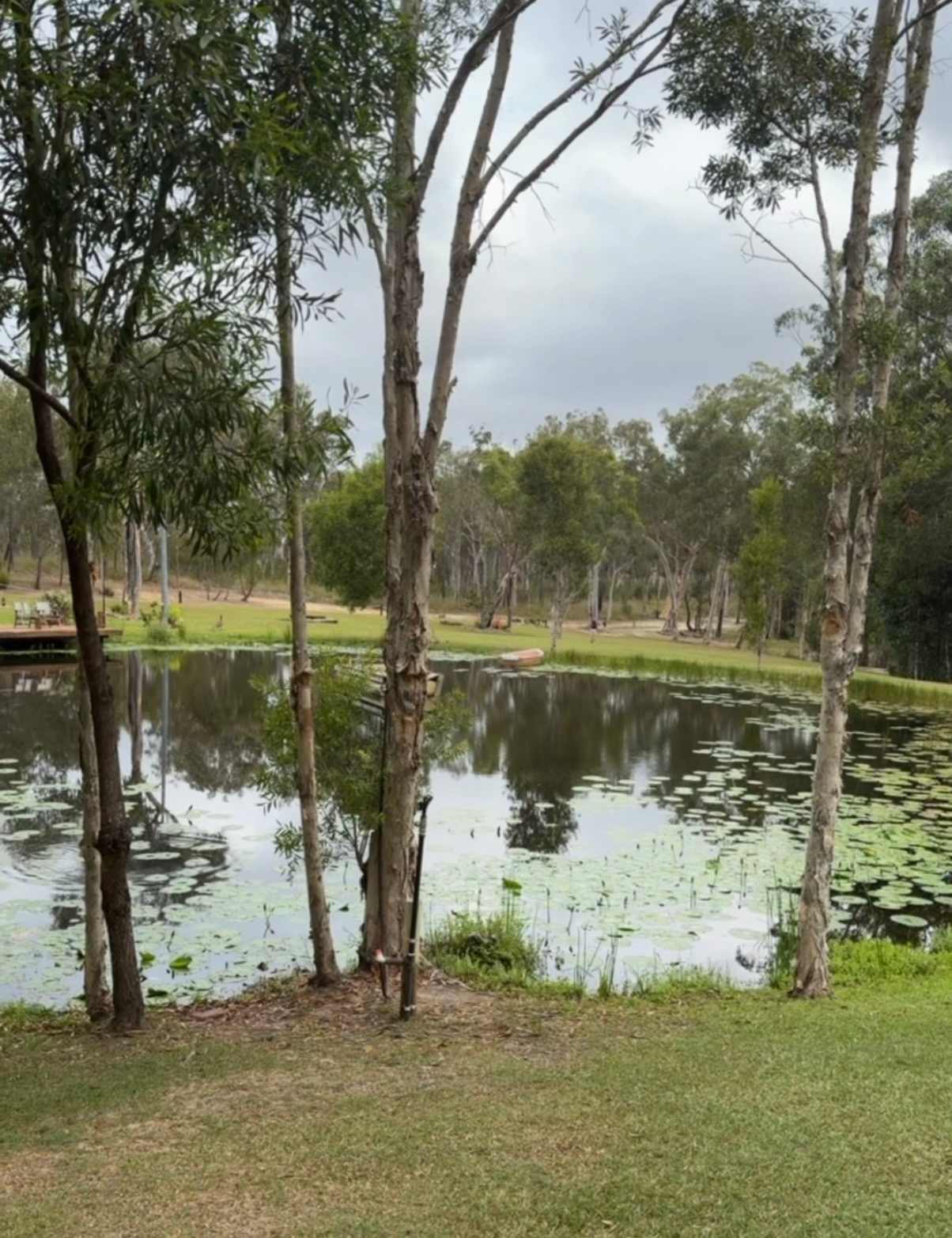 View from accomodation.