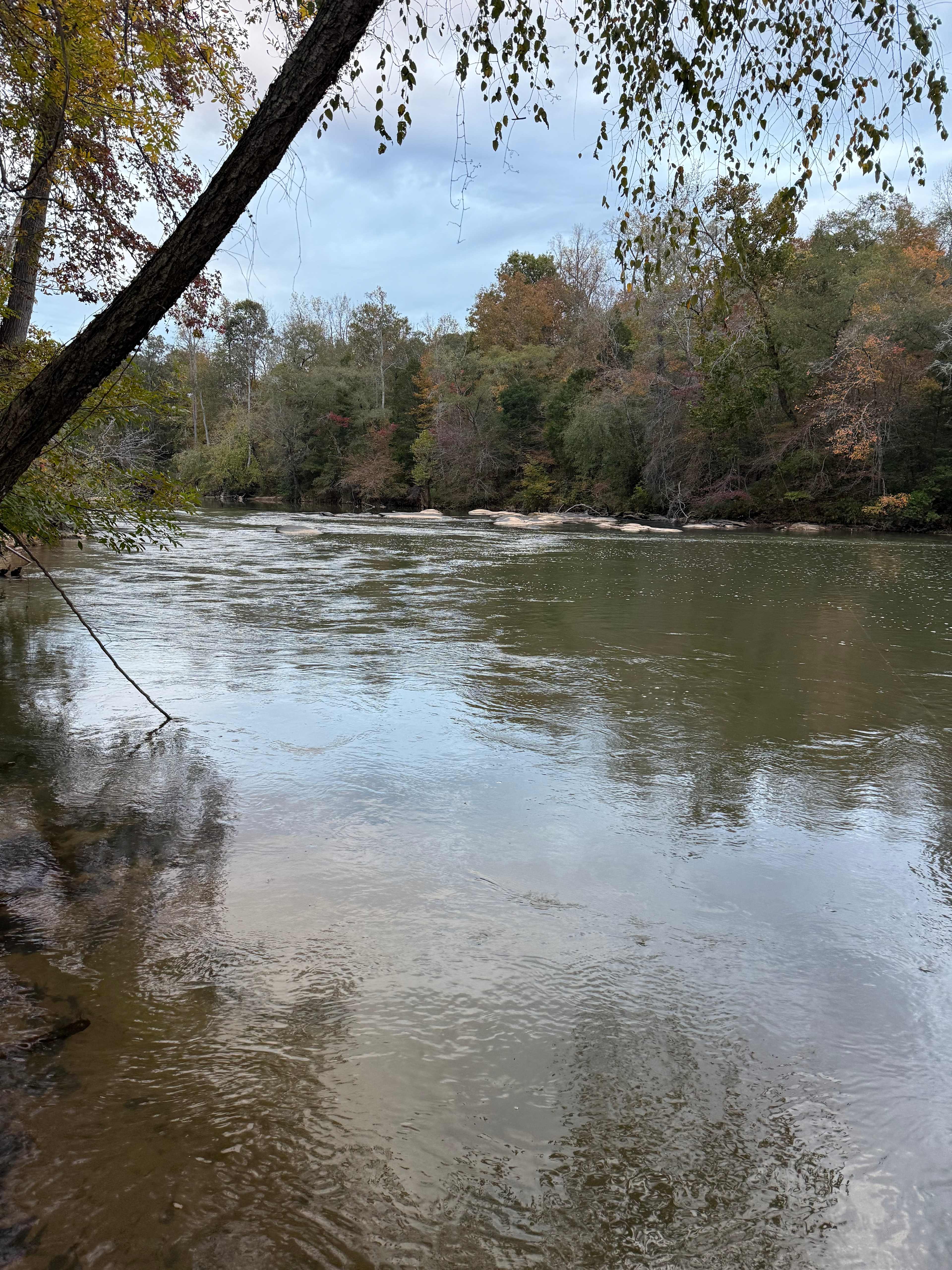 Serenity on the Saluda