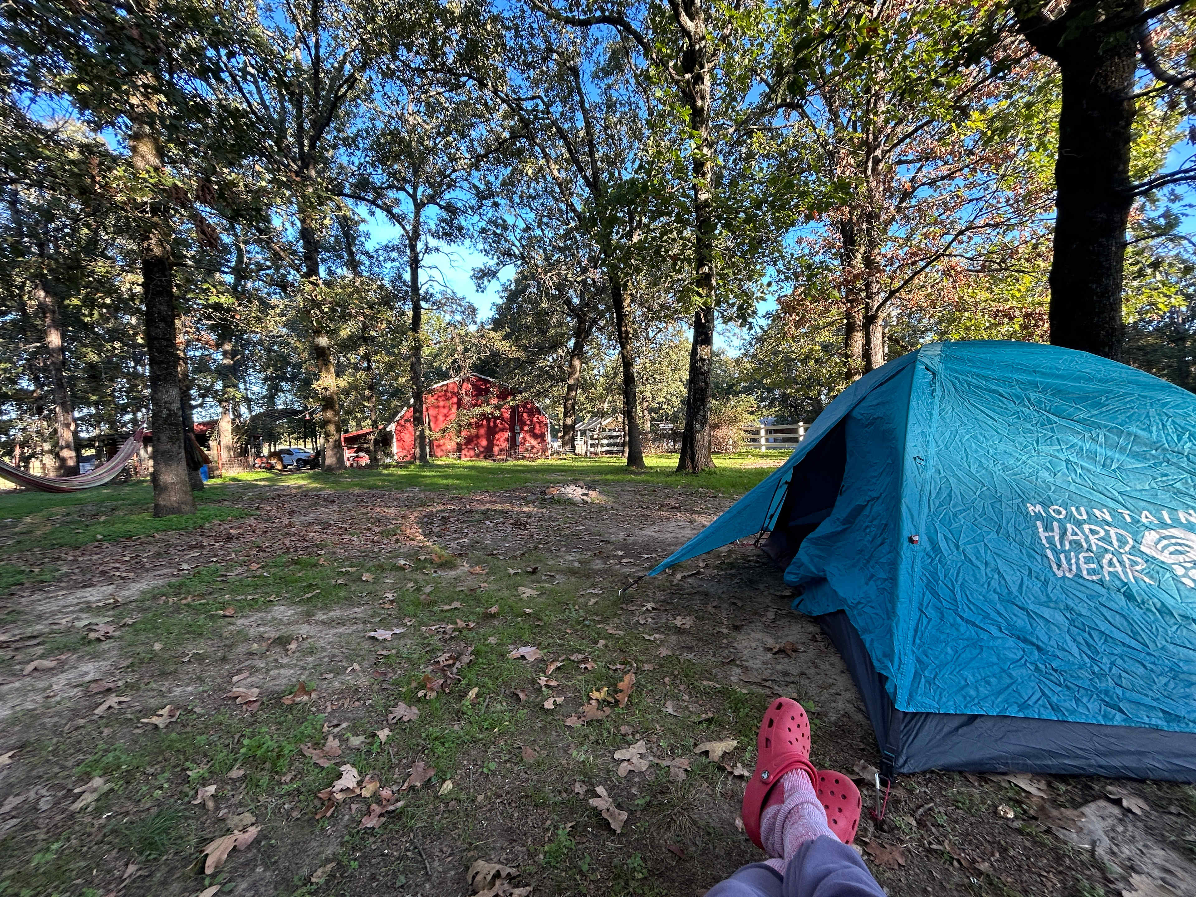 Petit Jean Farm Orchard