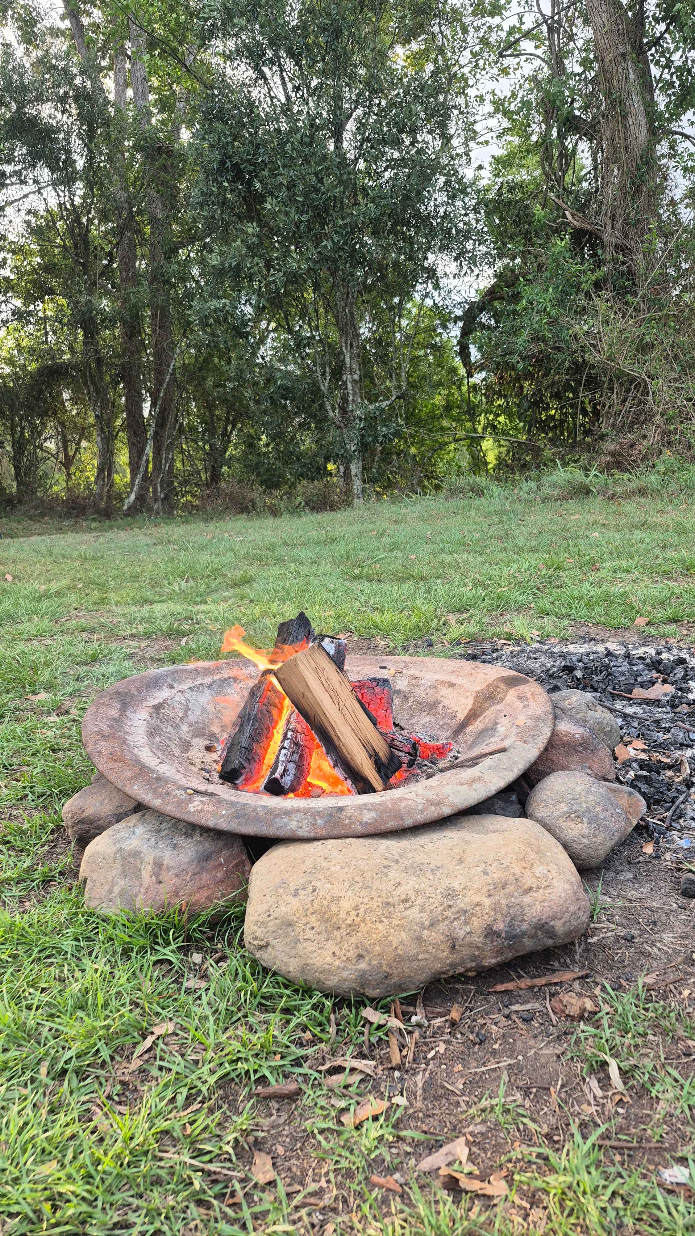 McKenzies Mountain, Wollumbin