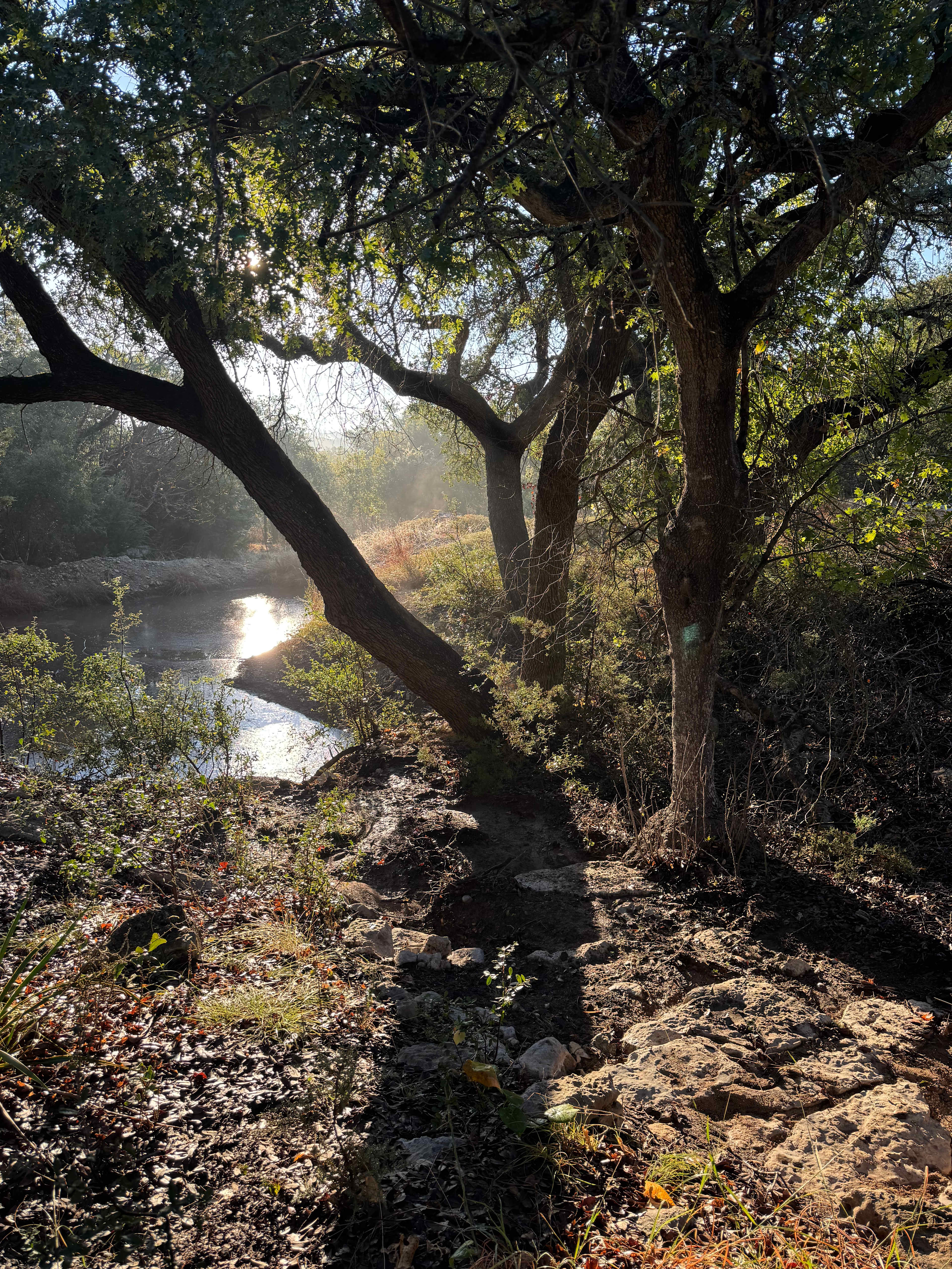 Camping Near Hamilton Pool