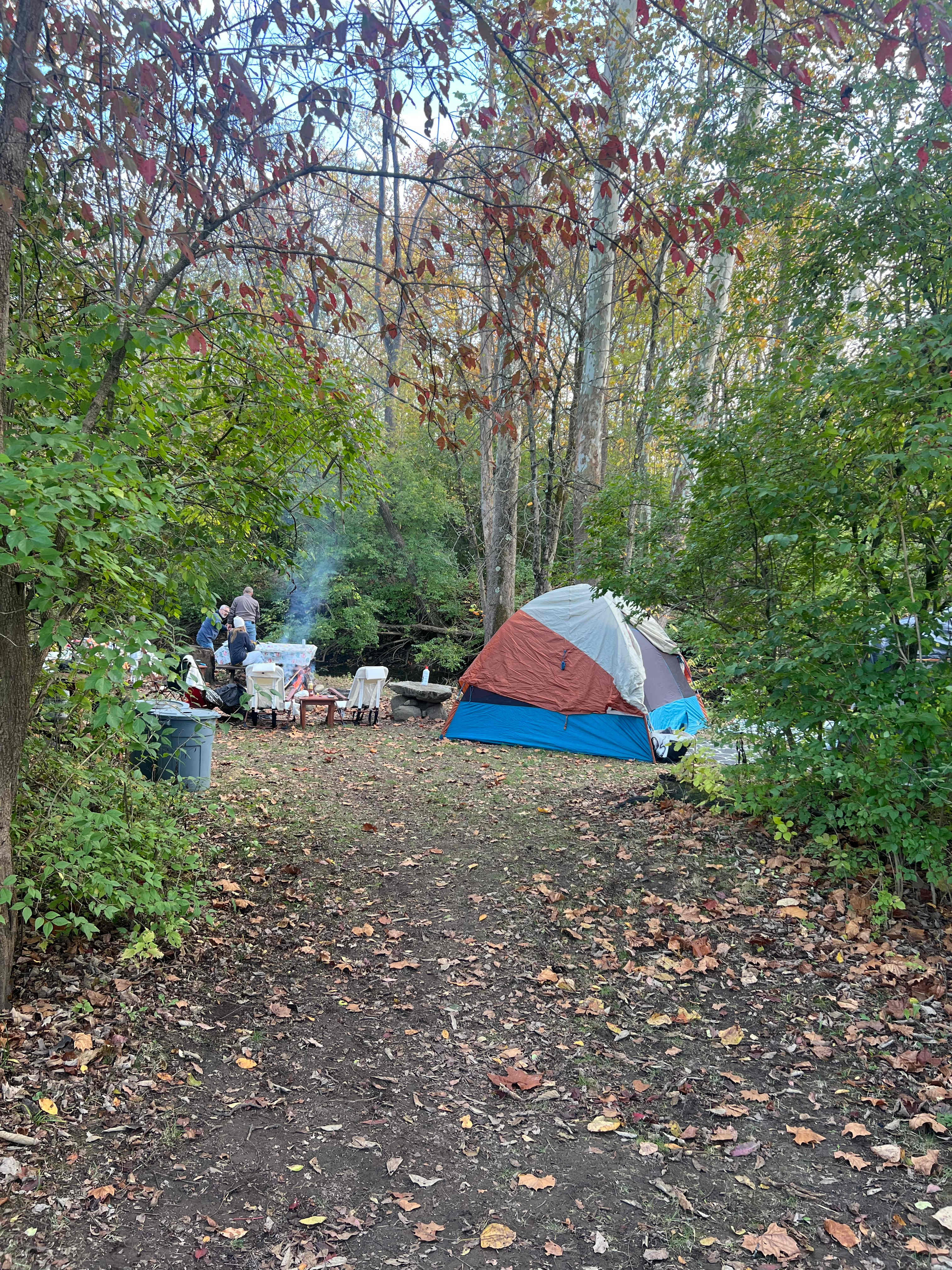 The Leafy path that led to cozy cocoon camp site 