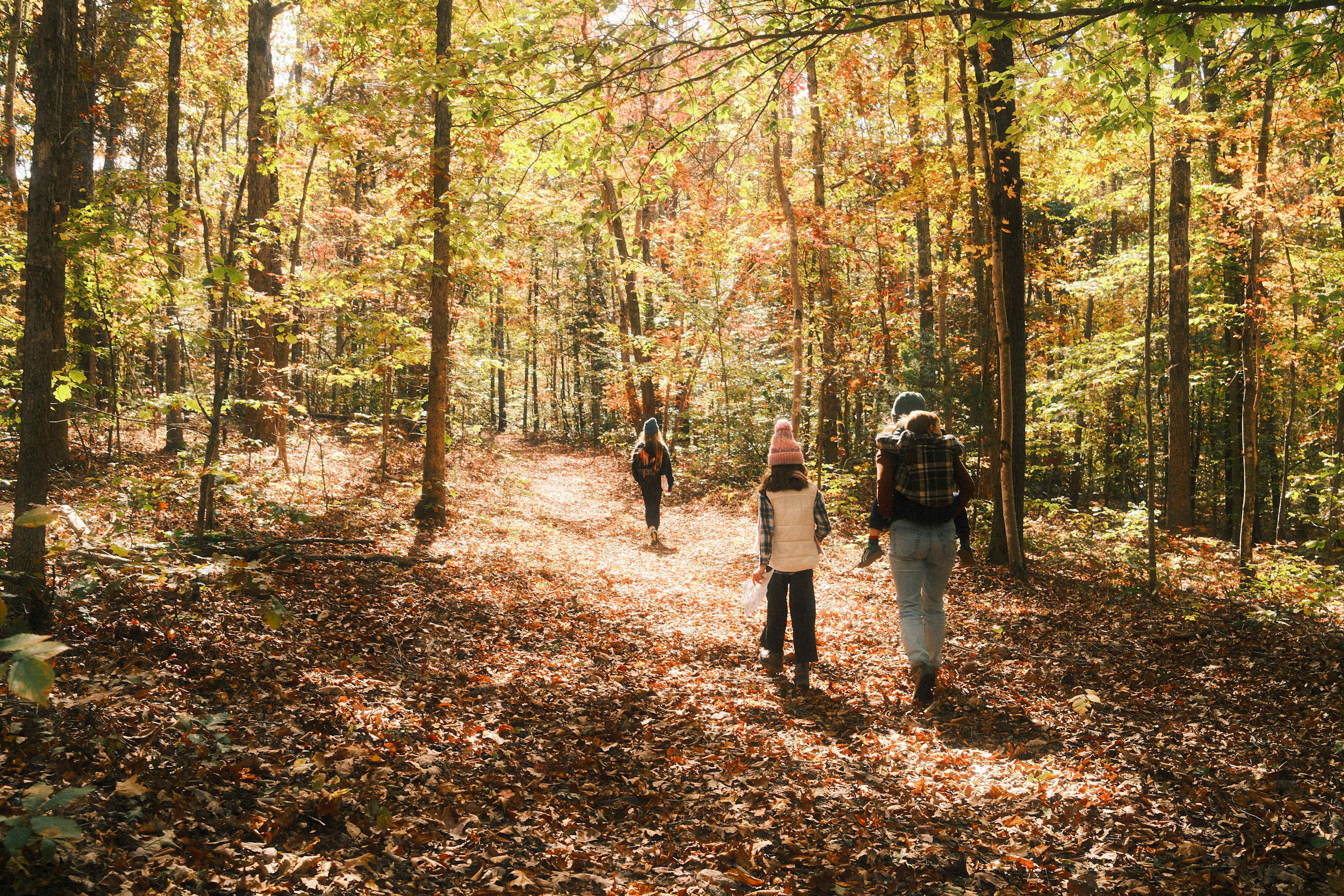 Phantom Hill Forest Retreats