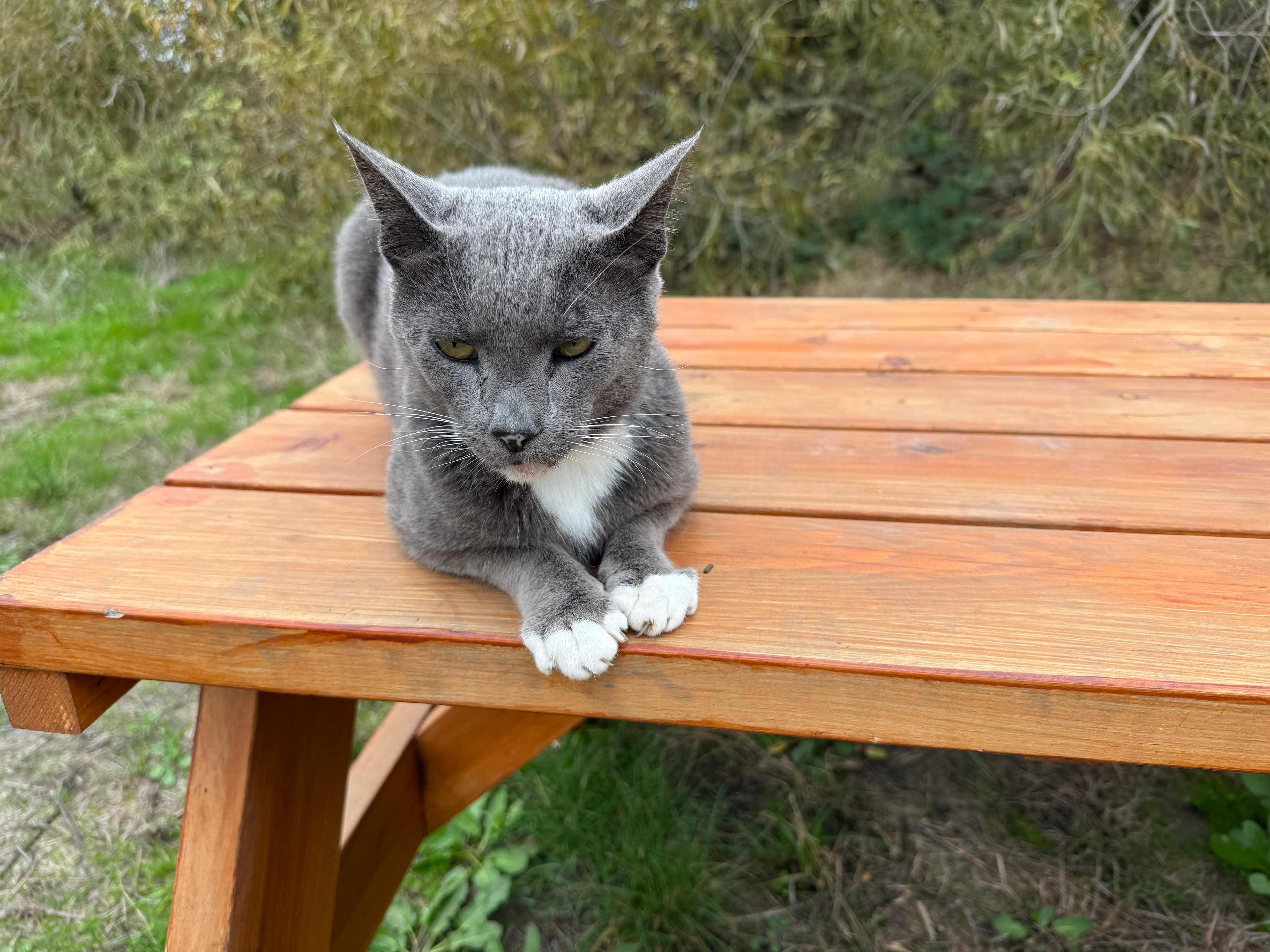 our friendly greeter