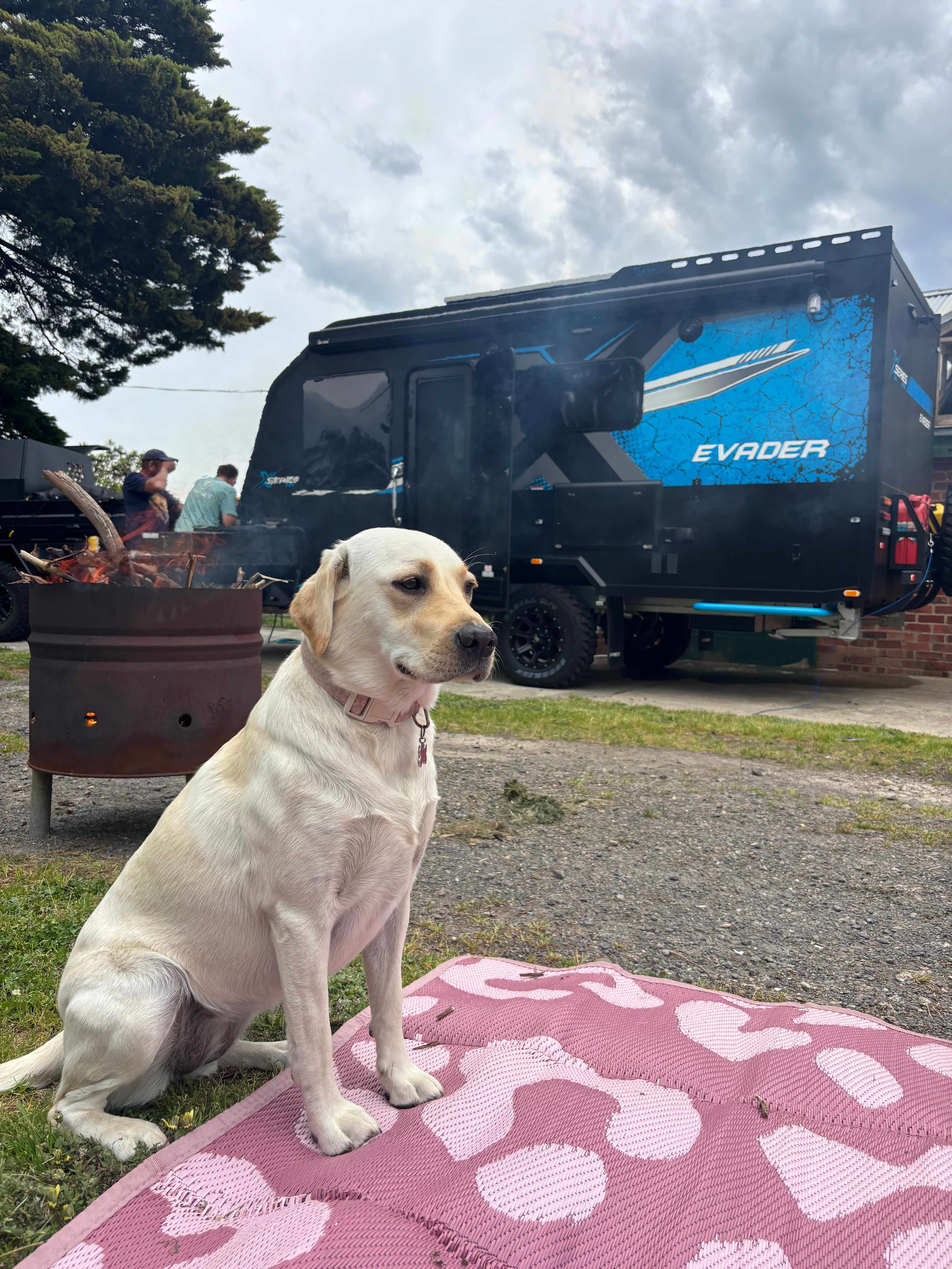 Old Dairy at The Grange, Buln Buln