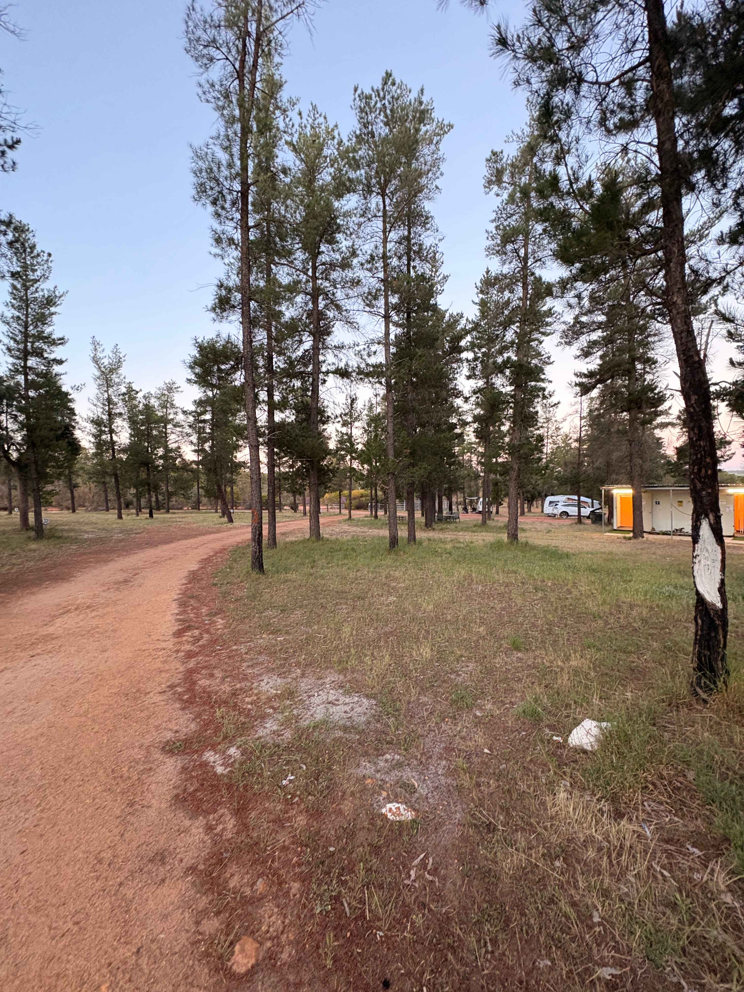 Little Eeden Farm Pine Camp