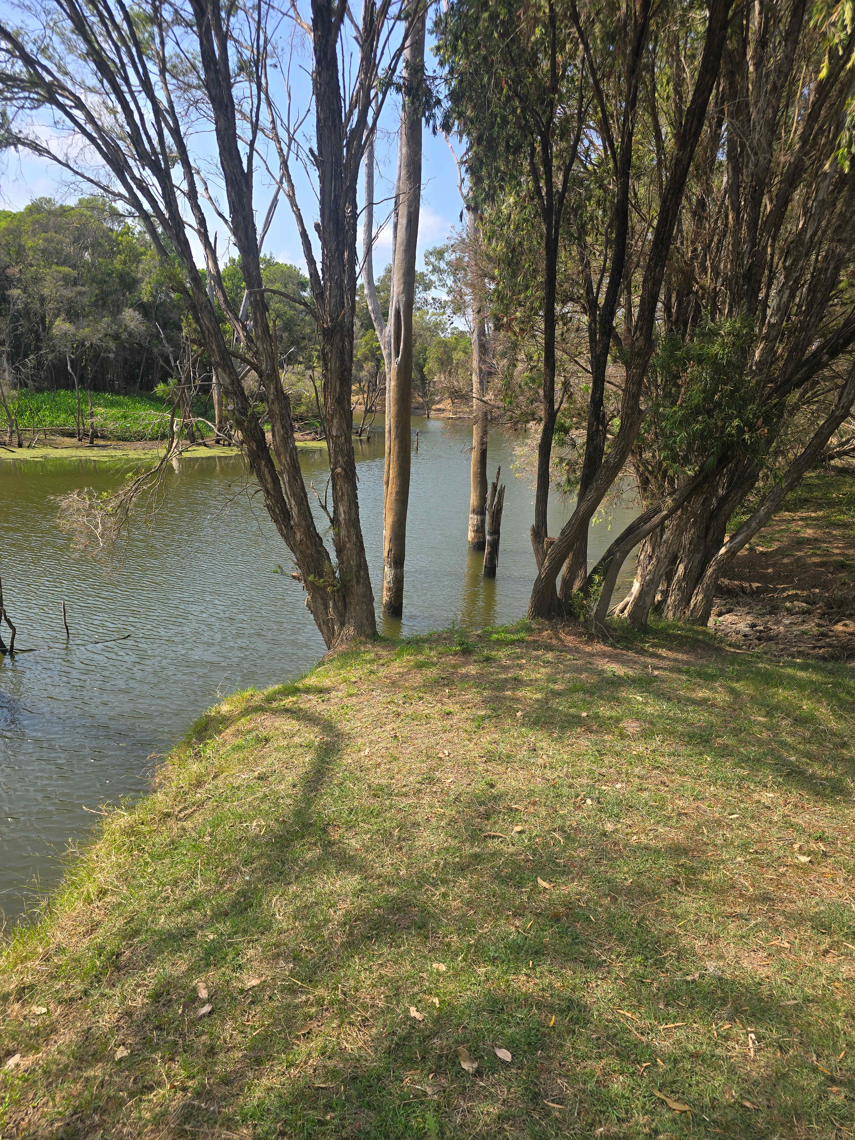 Paradise Lost on the Burnett