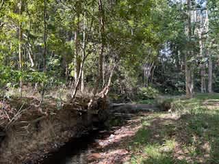 The Sleepy Hollow Manor Estate