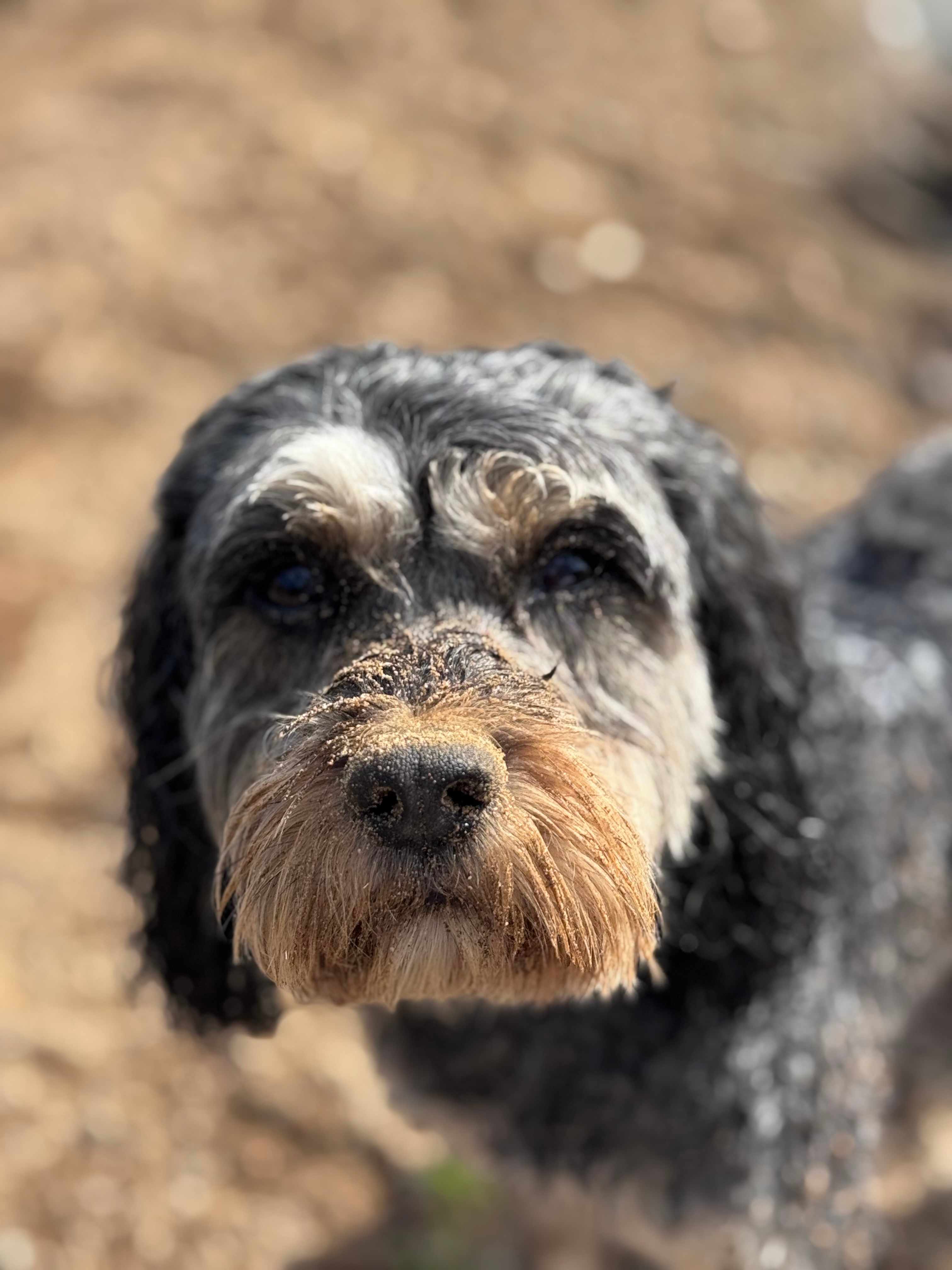 Hidden Pocket on the Mary