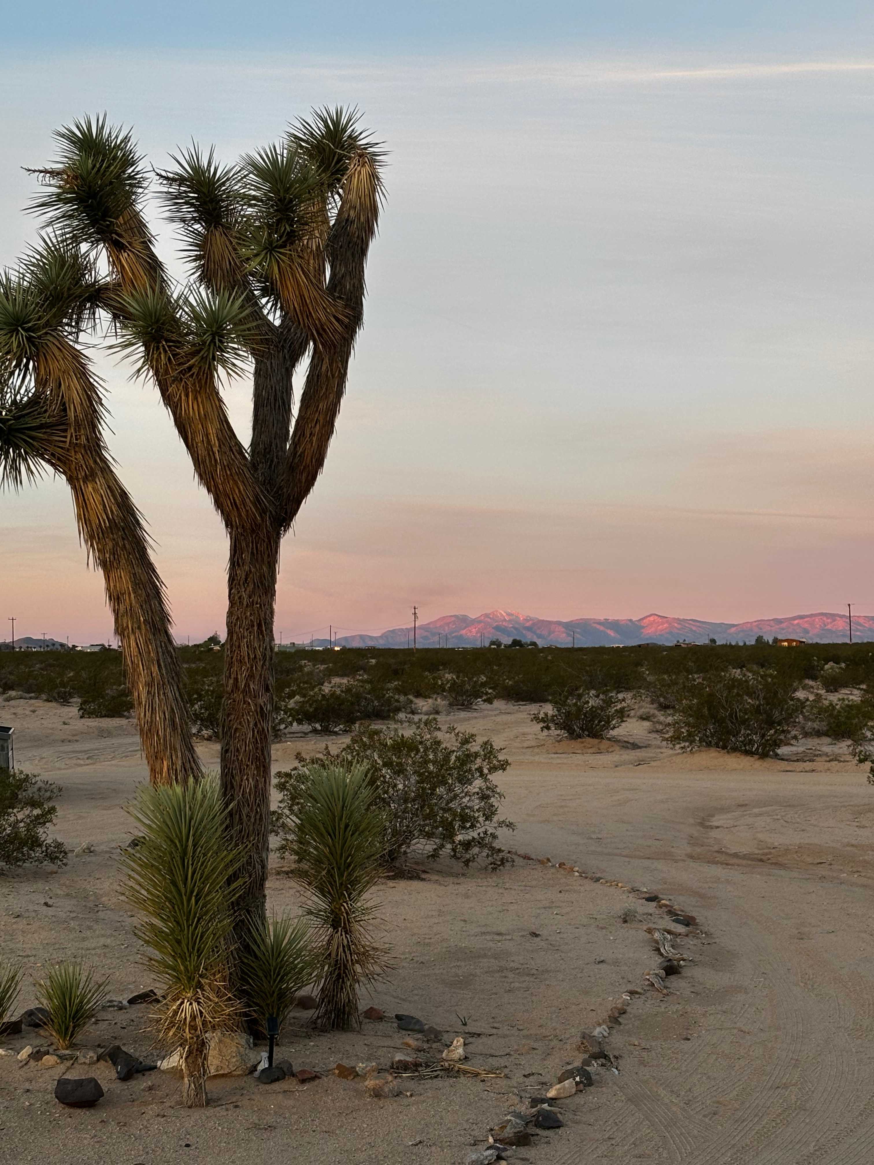 Cozy Retreat in Joshua Tree