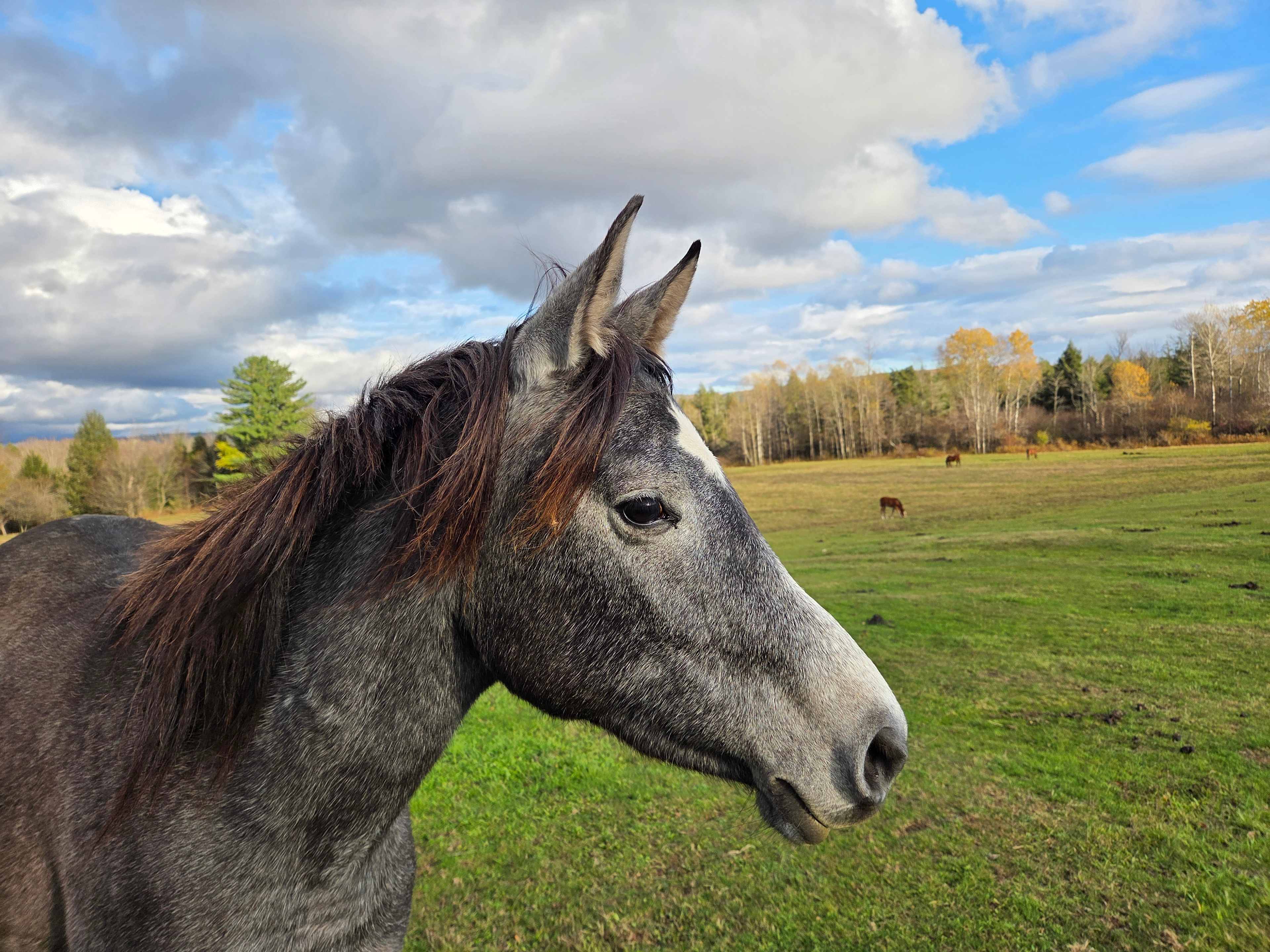 My New Friend! Such A Sweetie! 