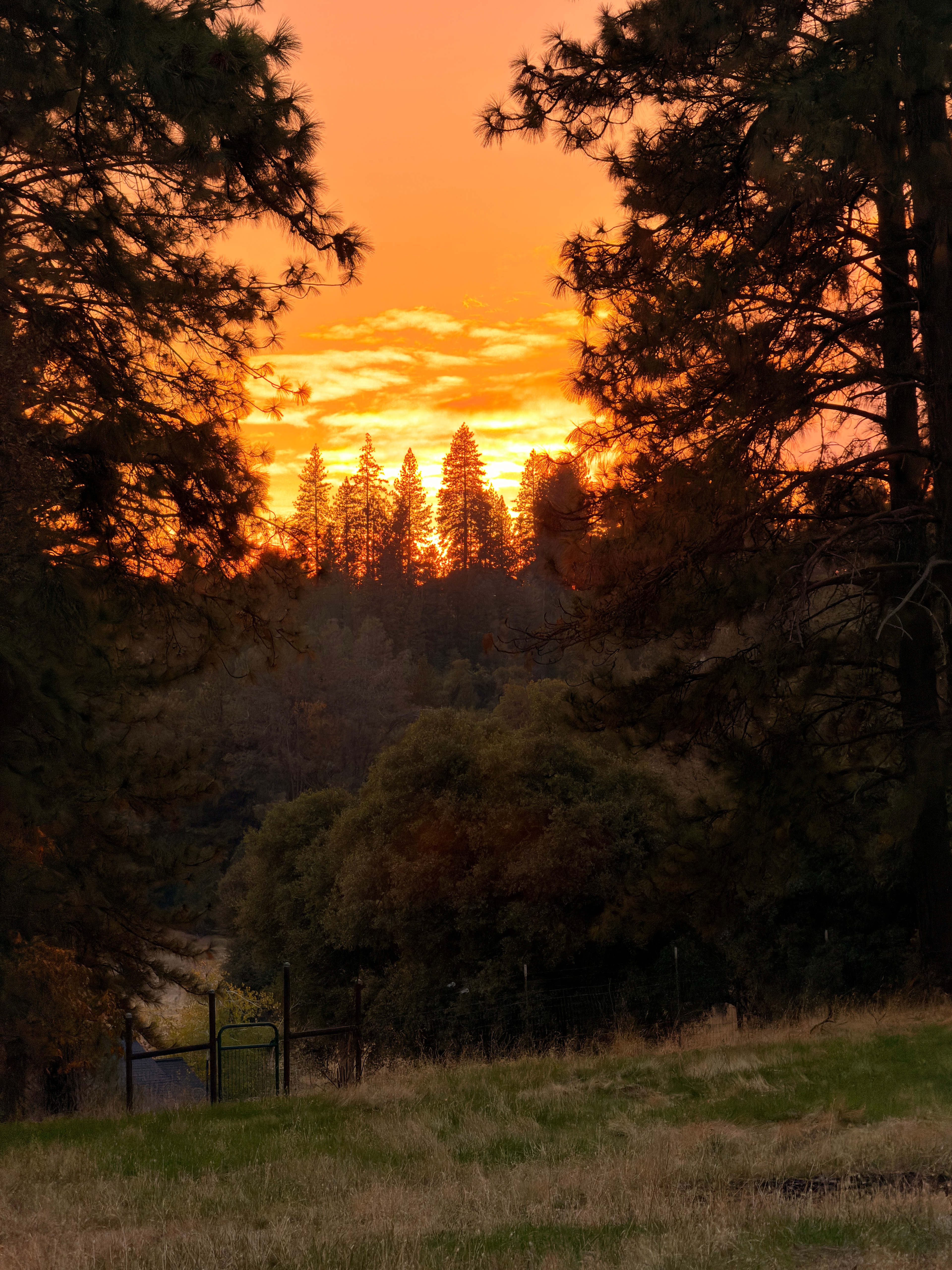 Sunset was STUNNING! 