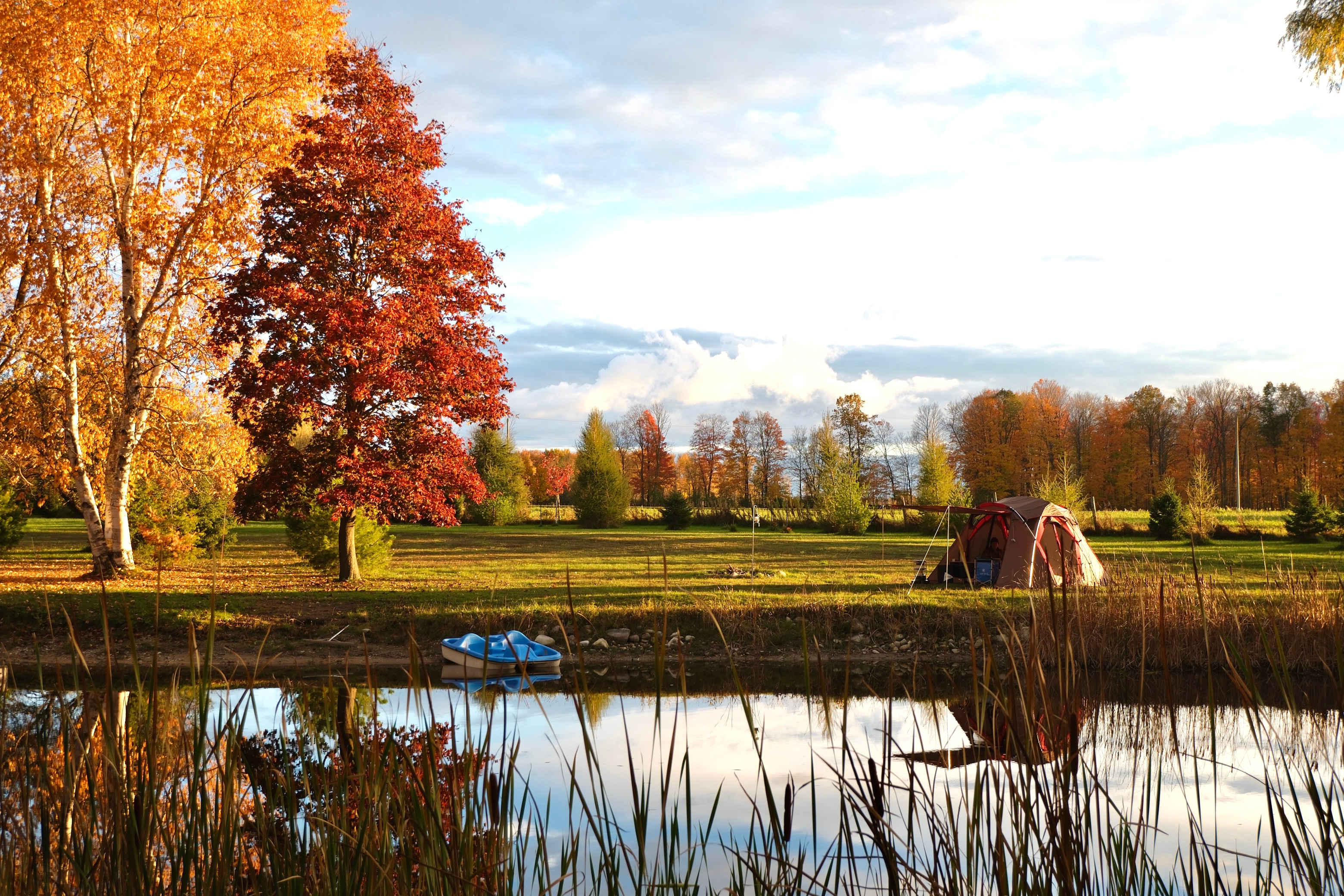 Hidden Oasis Near Elora
