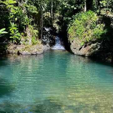 PR Rainforest Retreat