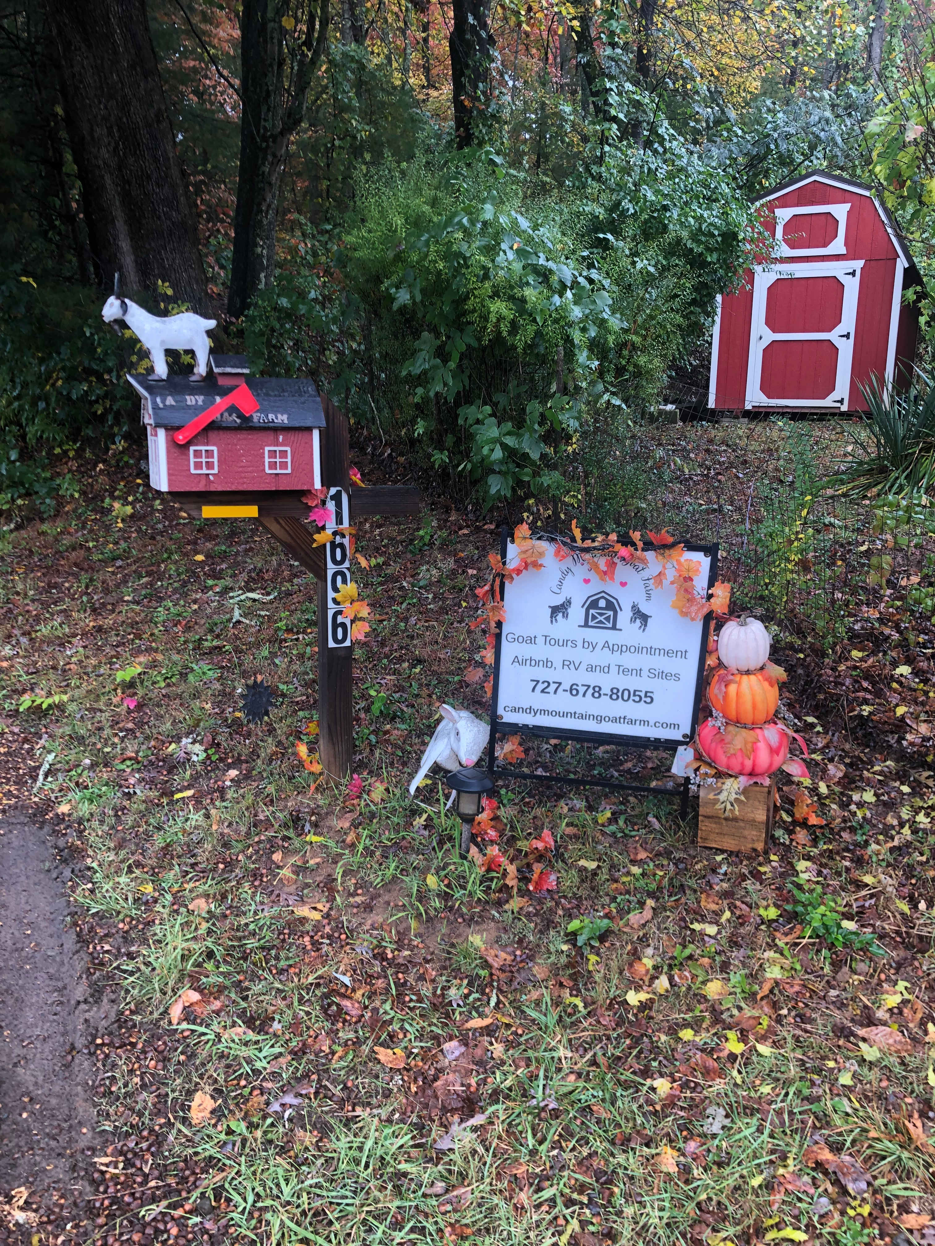 Welcome to Candy Mountain Goat Farm