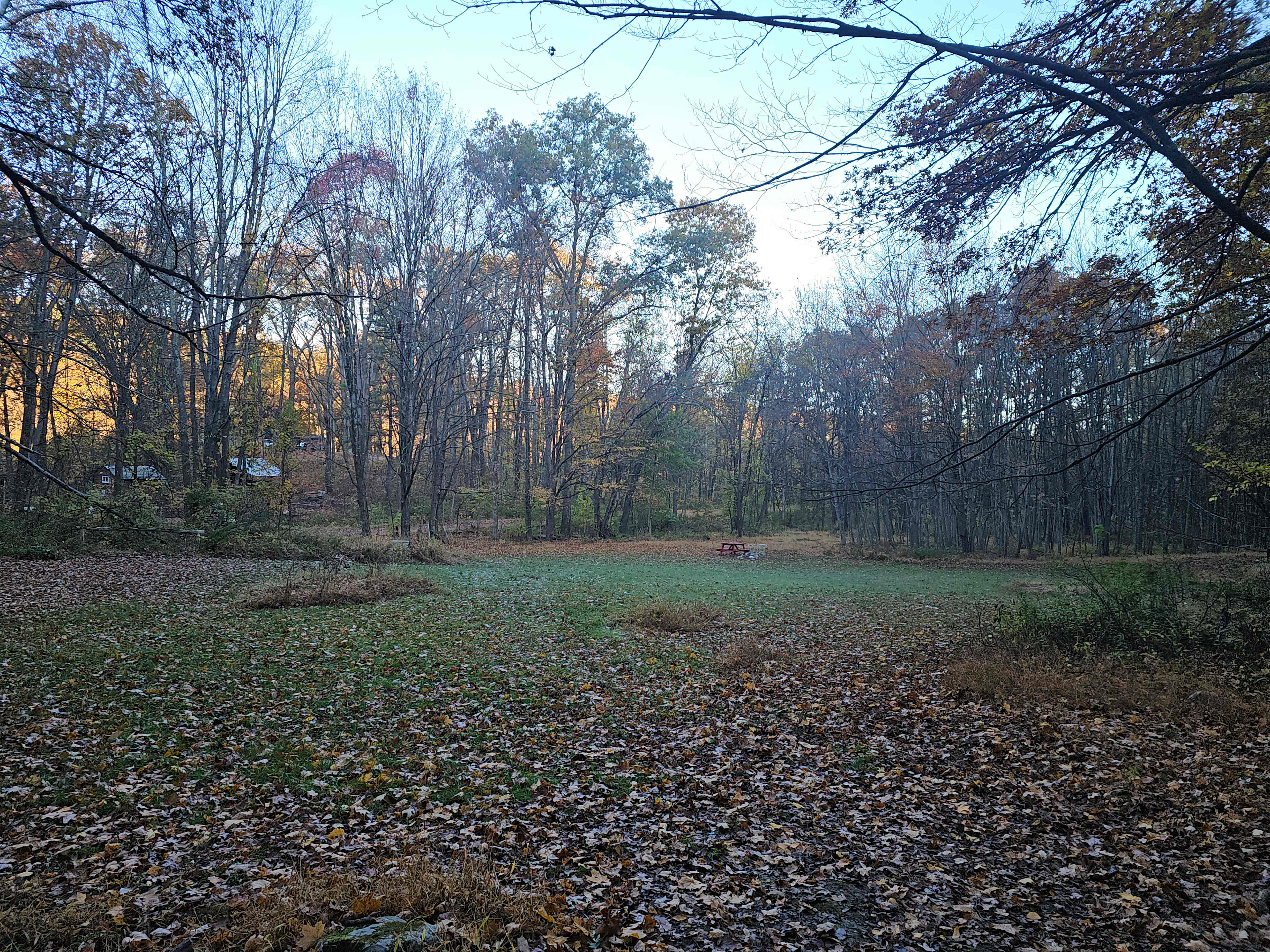 Red Fox Meadow Campsite