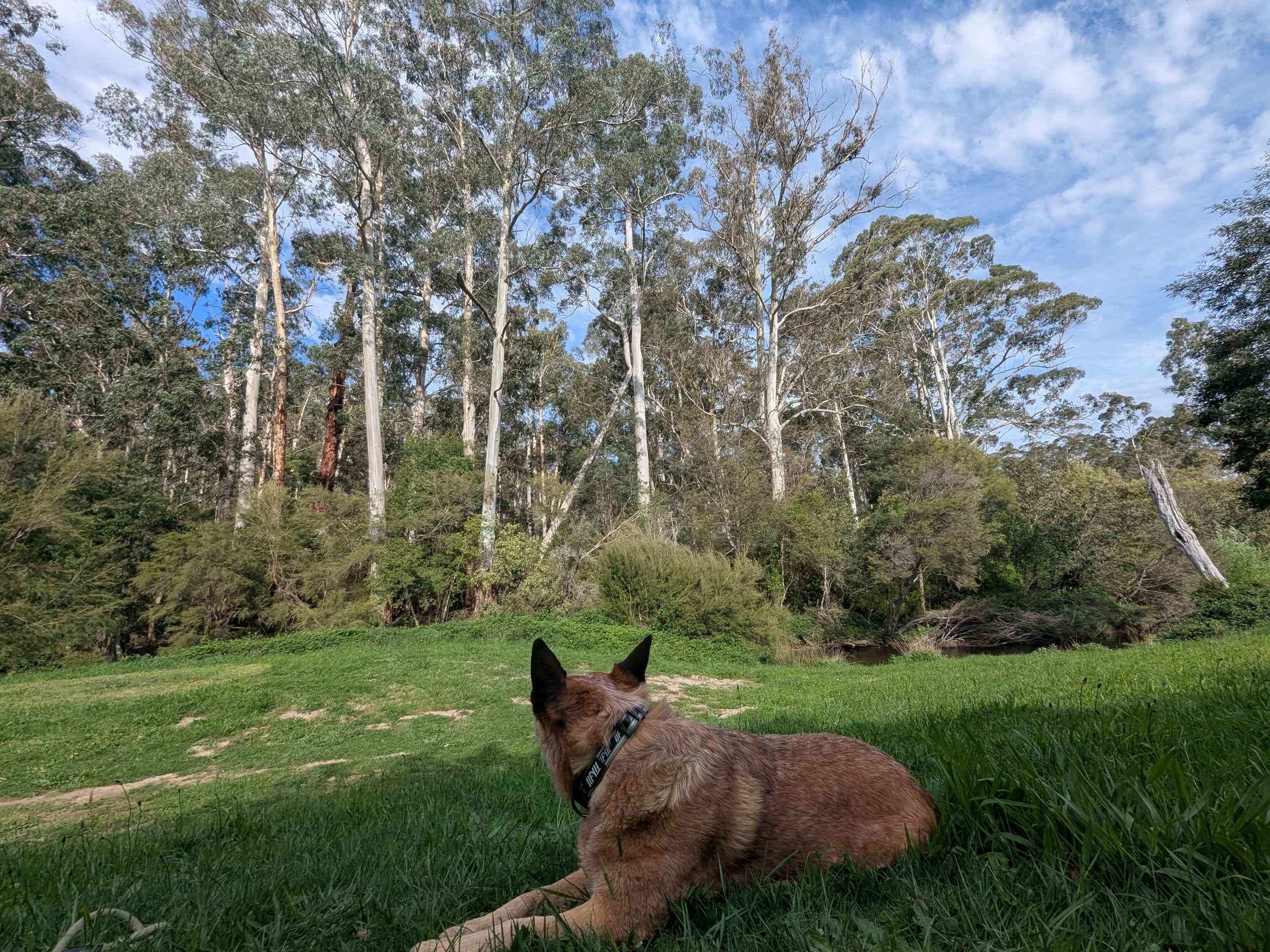 Hazelnut Valley Farm Stay