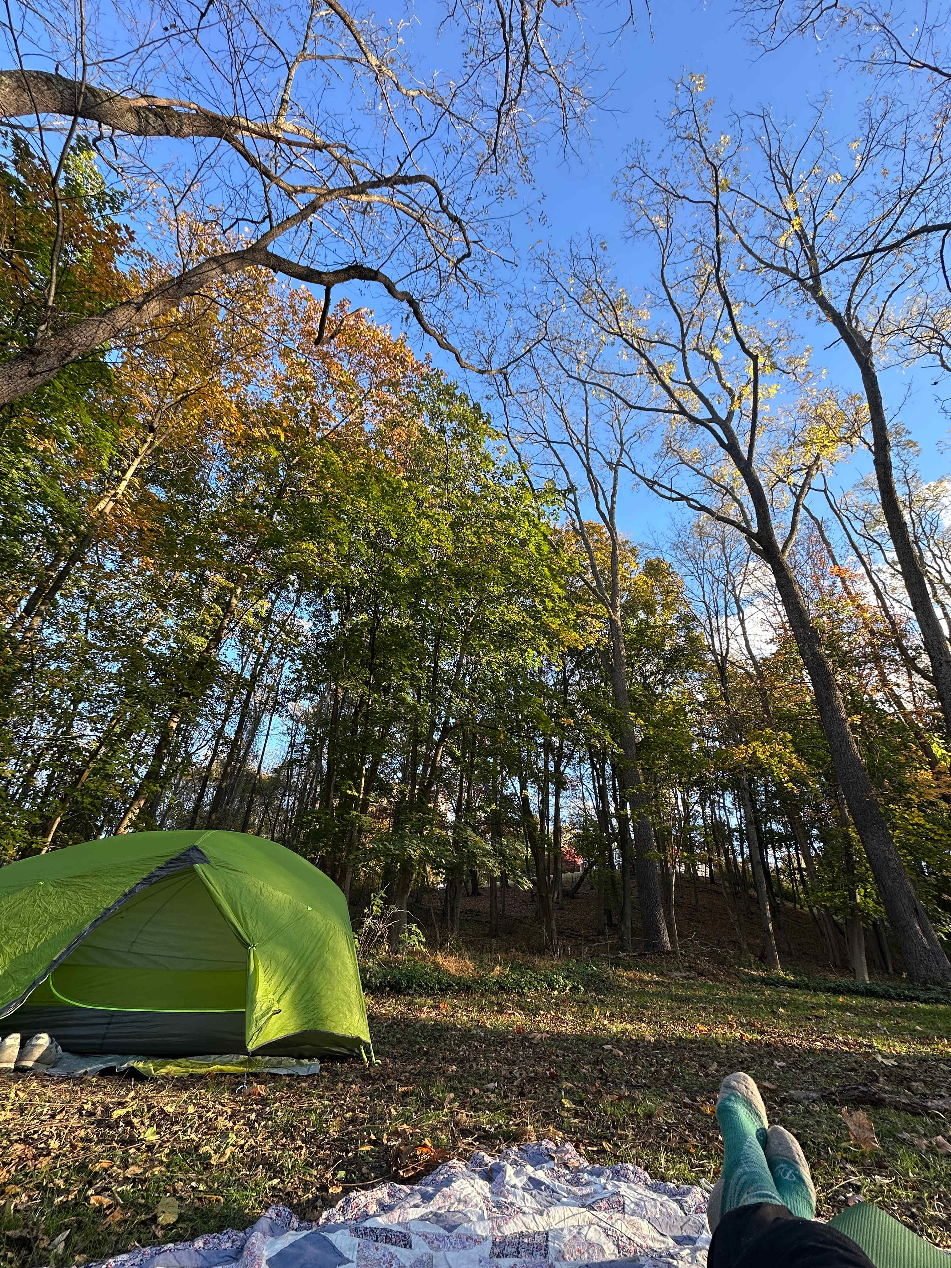 1.  Robin's Hood    2.  Lola's Loop