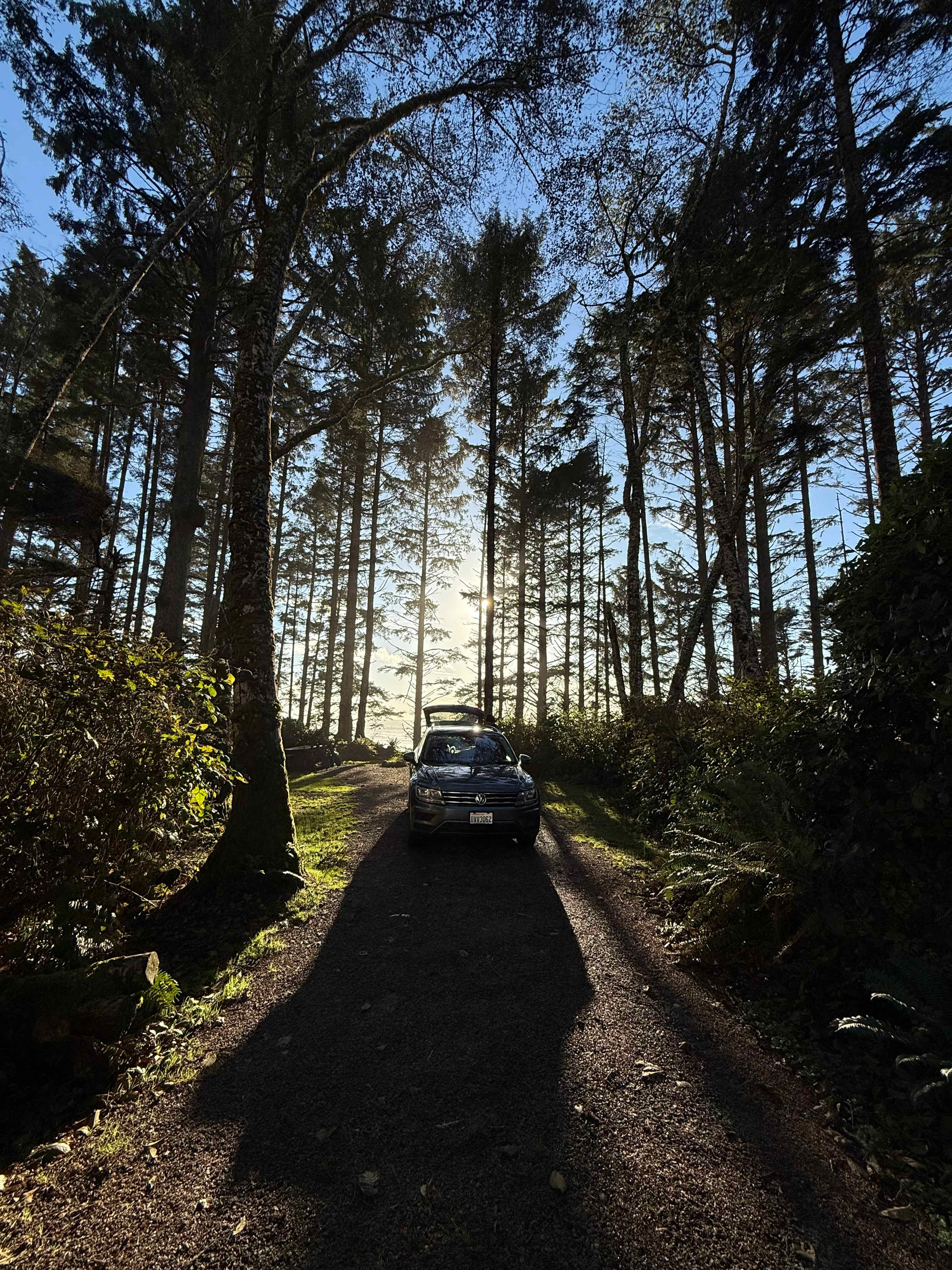 Wild WA Coast Lookout ($75 - $125)