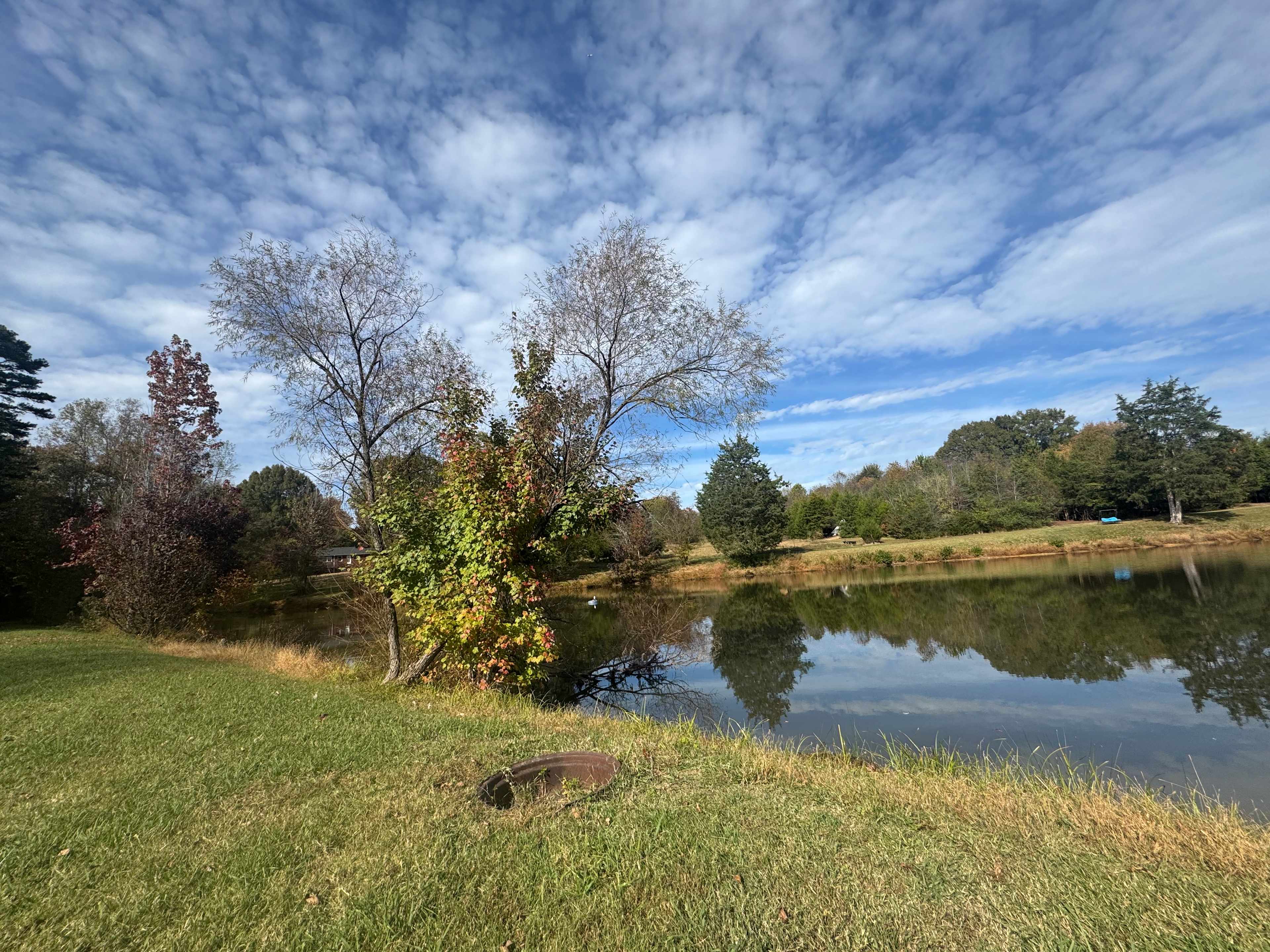 The Oasis at Harmon Creek Farms