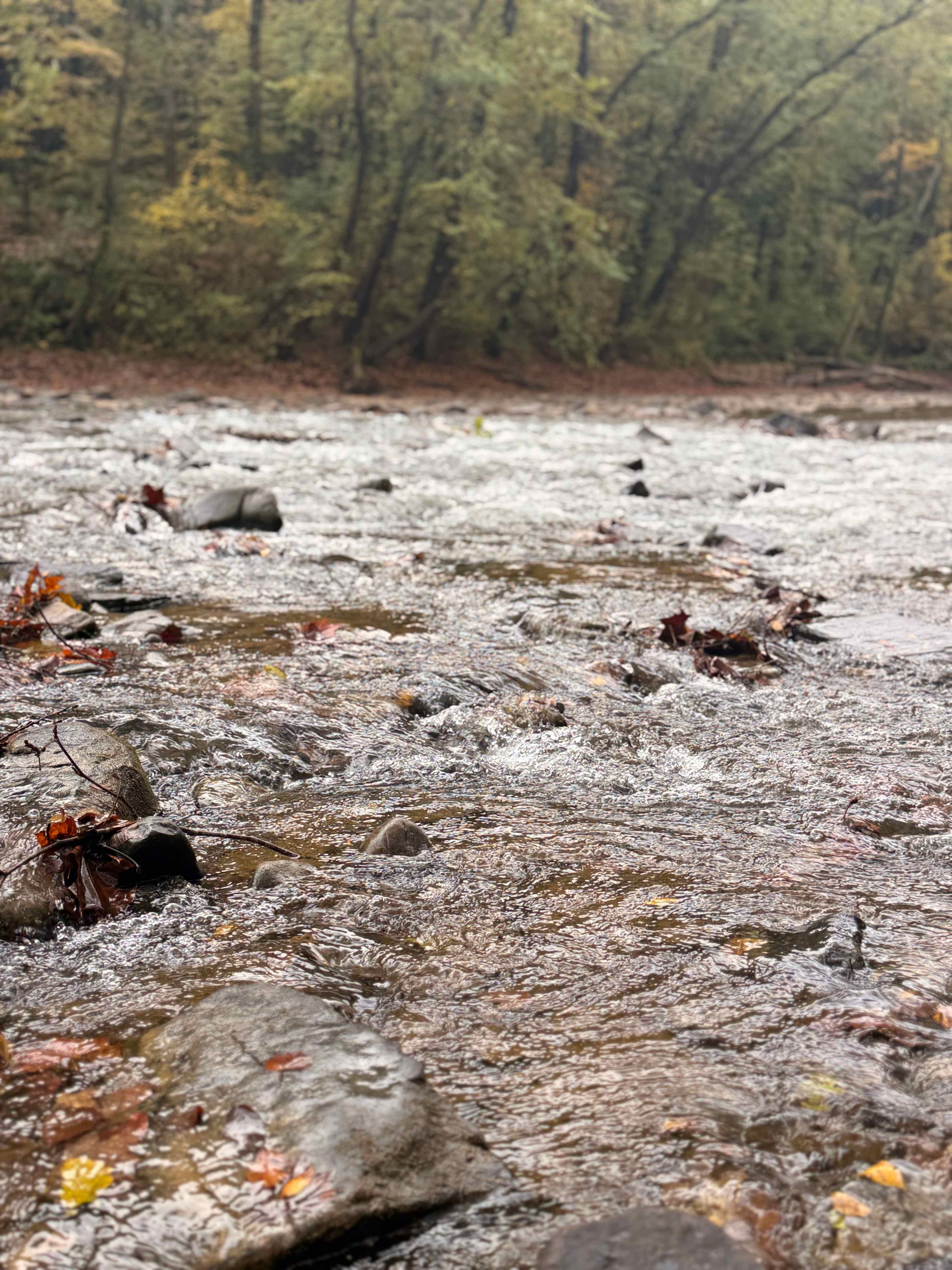 The Harrican Lakehouse