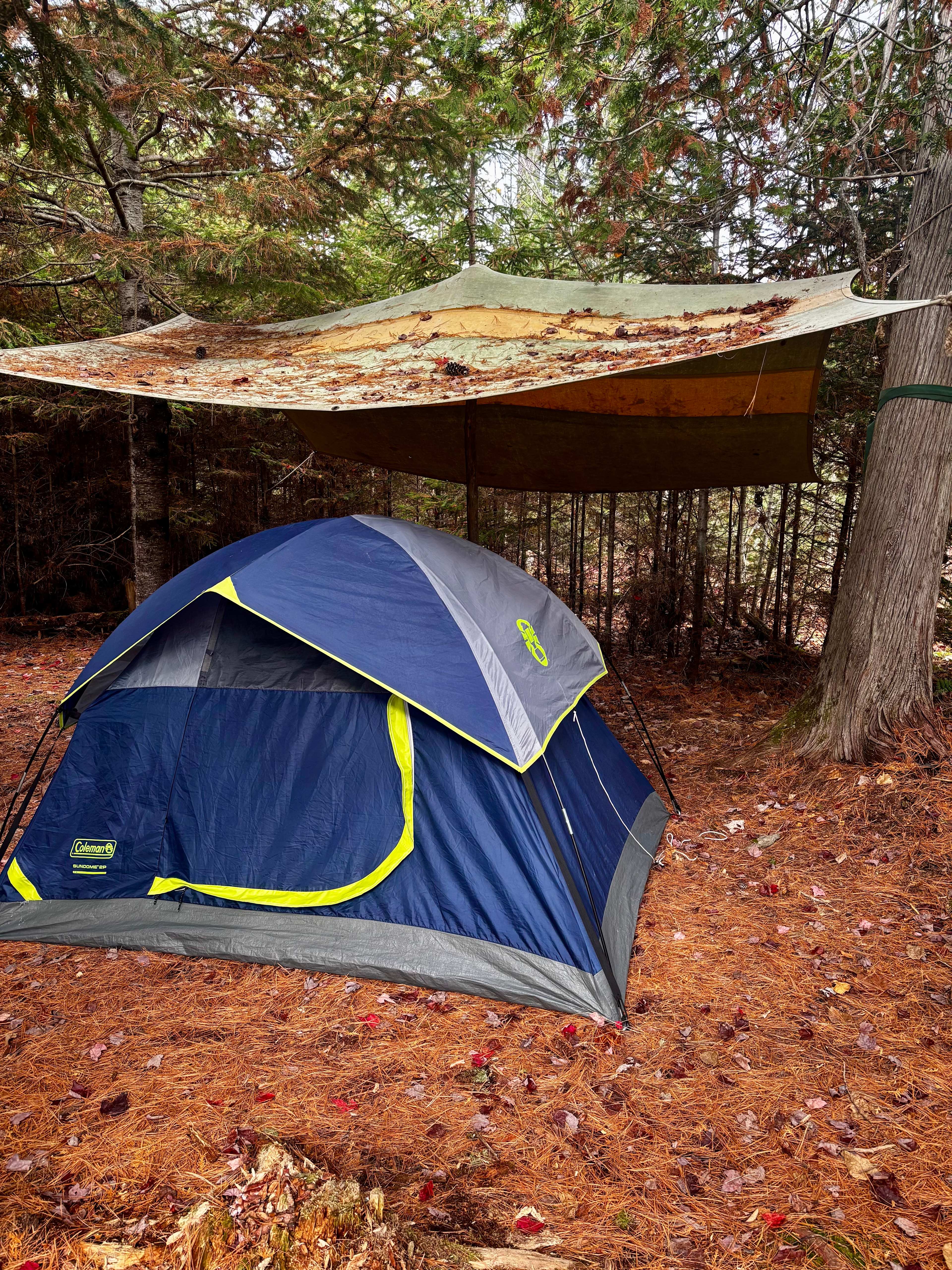 Chickadee Hollow: Eco Camping