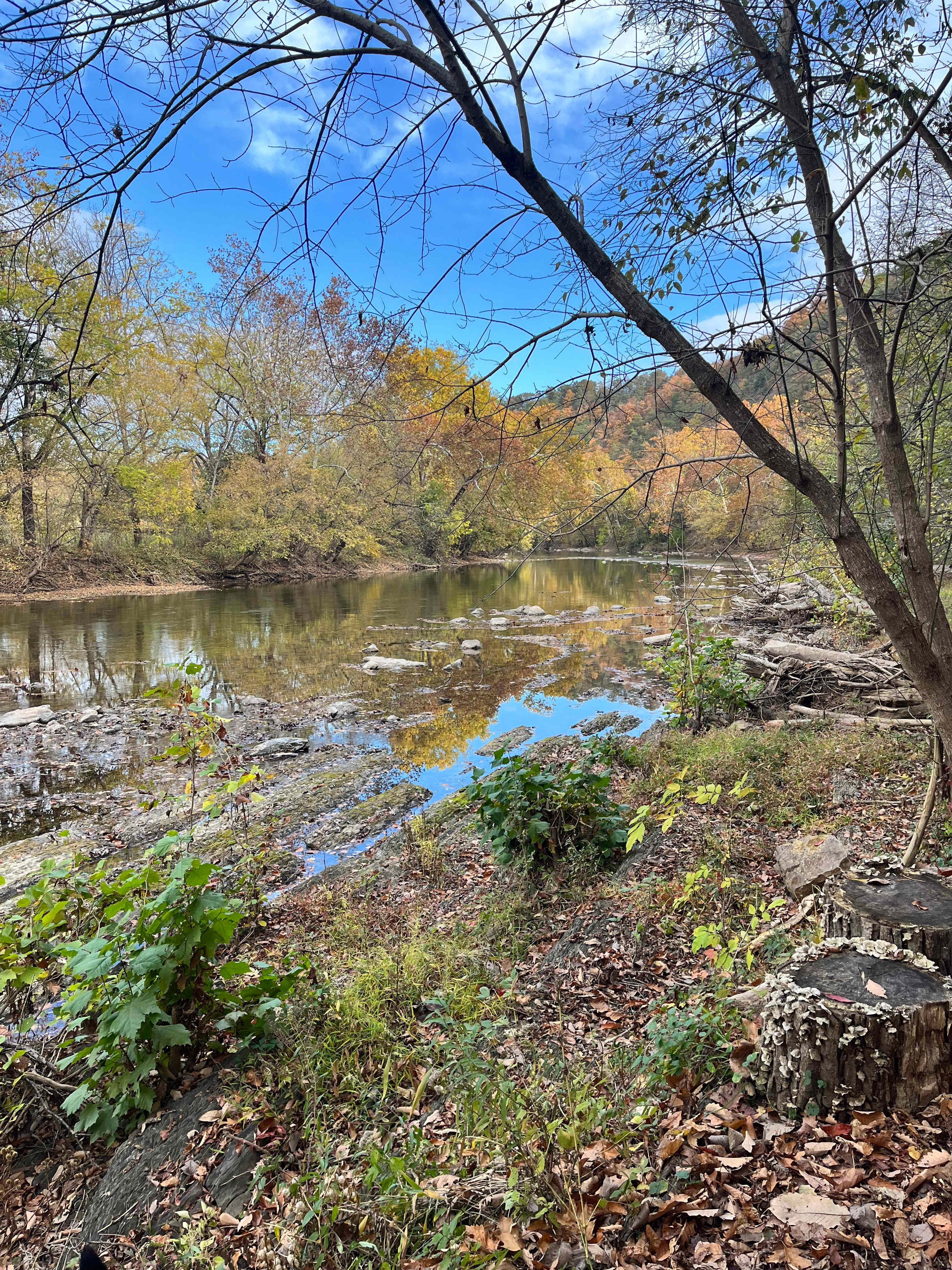 North Fork River Retreat