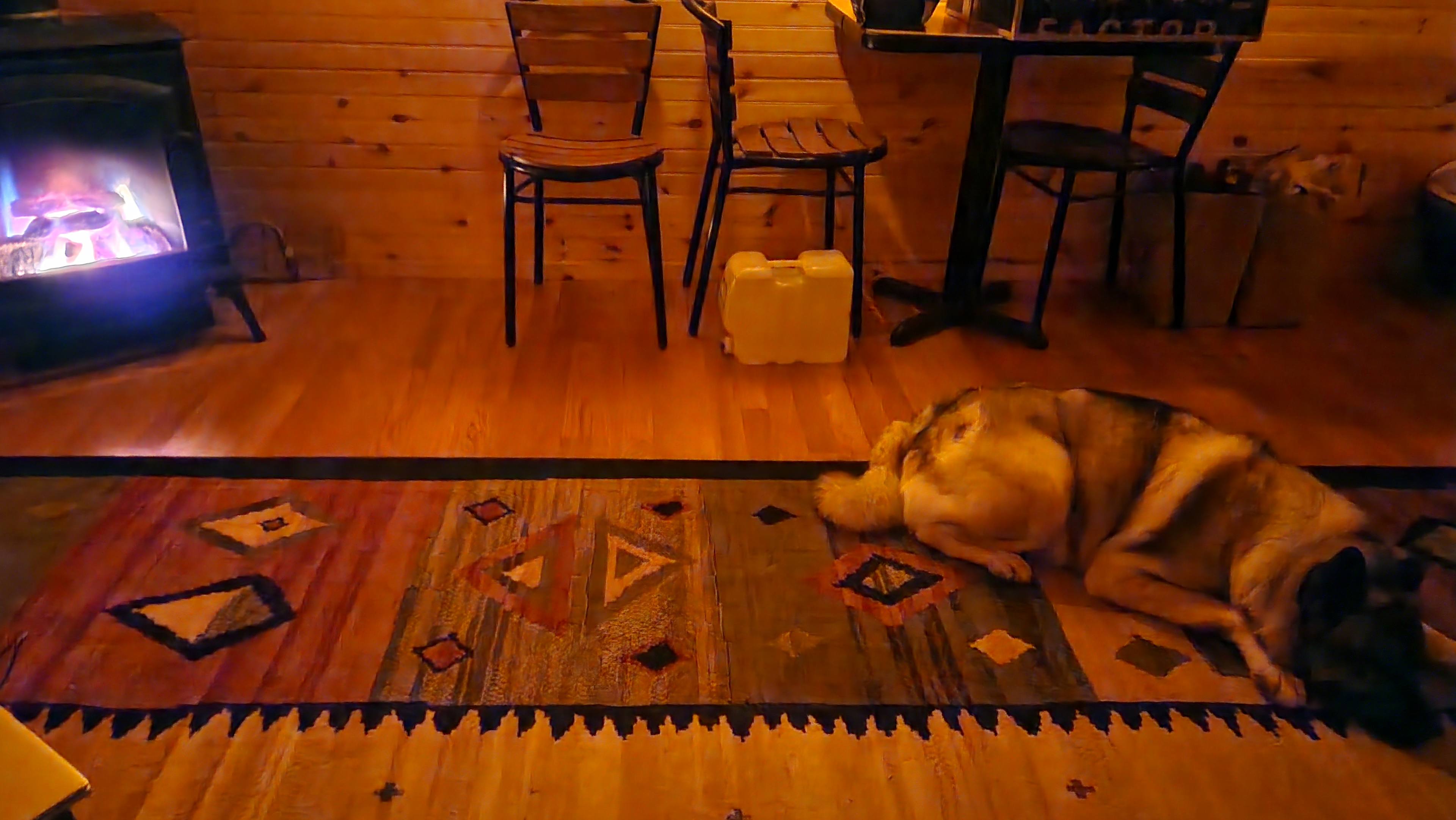 Grace E.’s Mini Forest Cabins