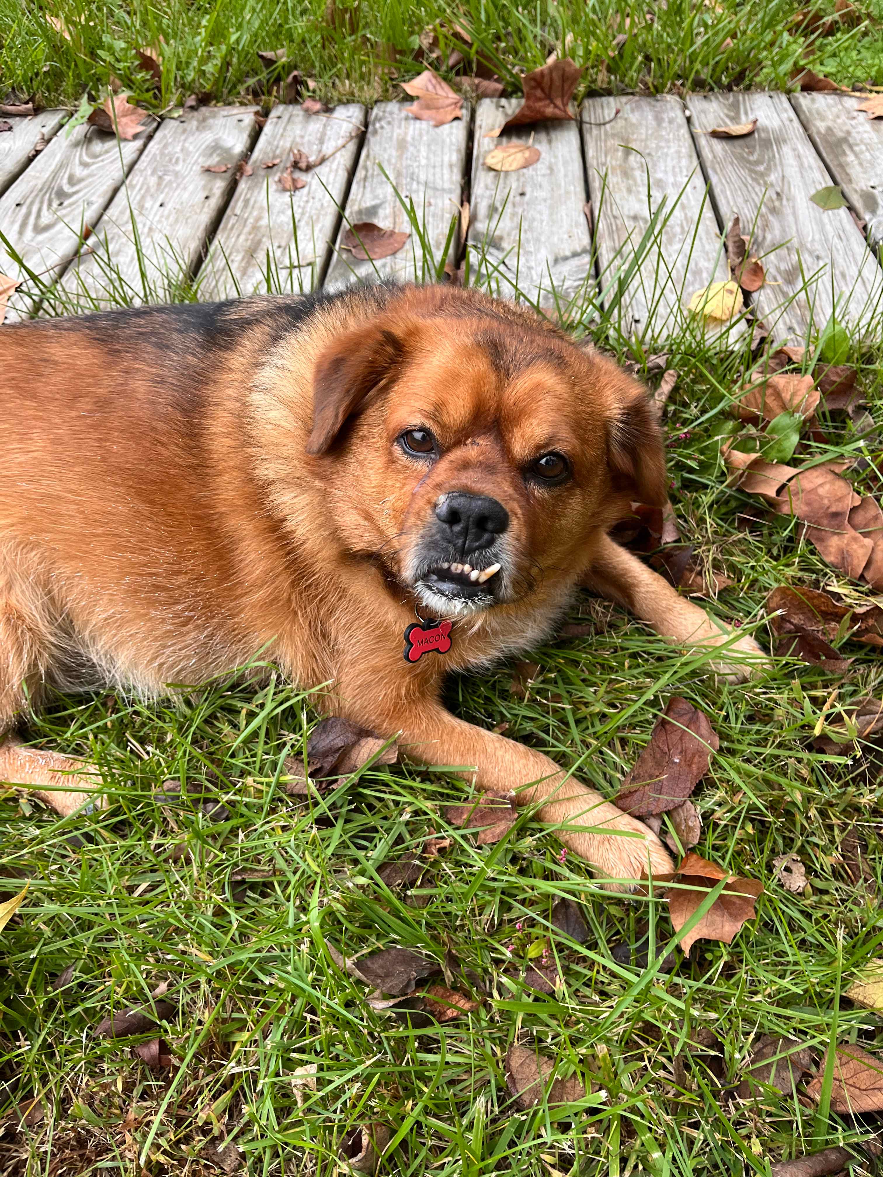 MoonRise Cabin-Farm w/ Trails