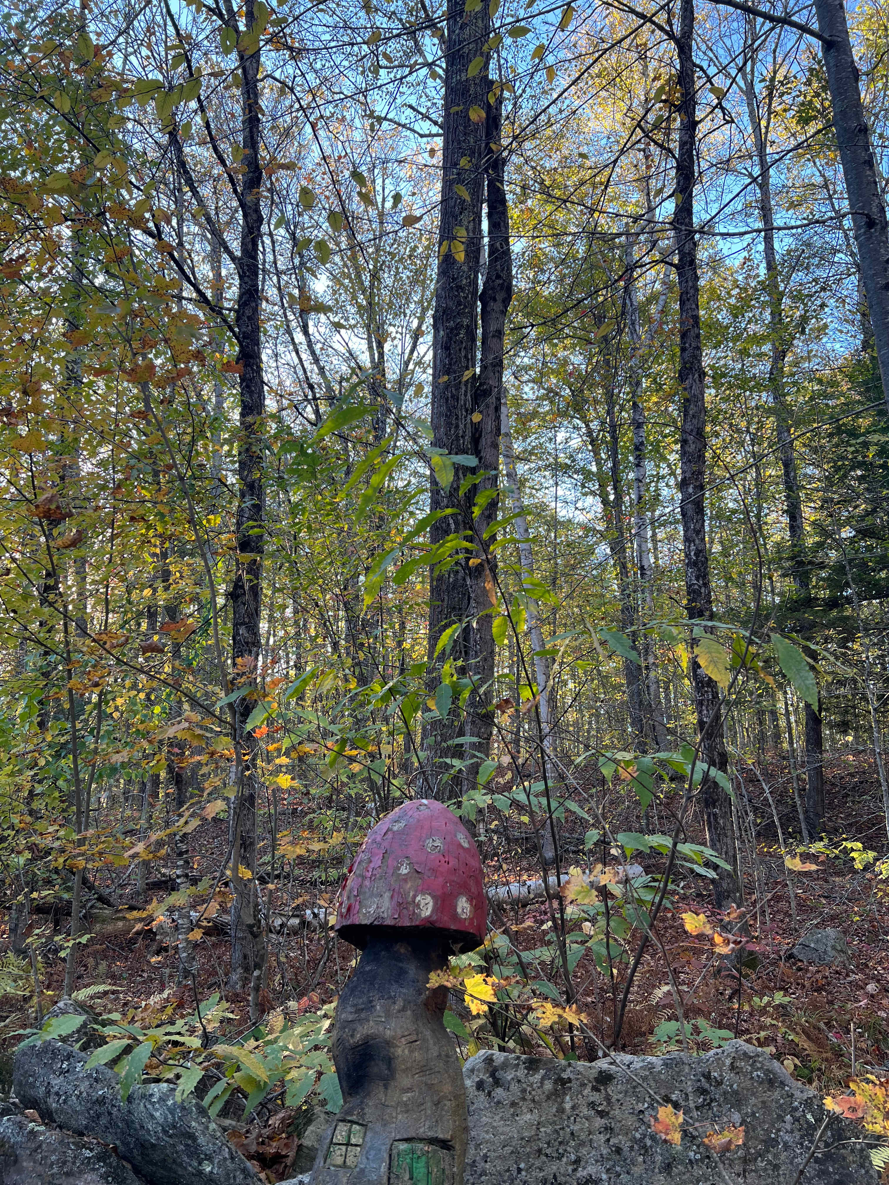 Salamander Hollow Healing Habitat