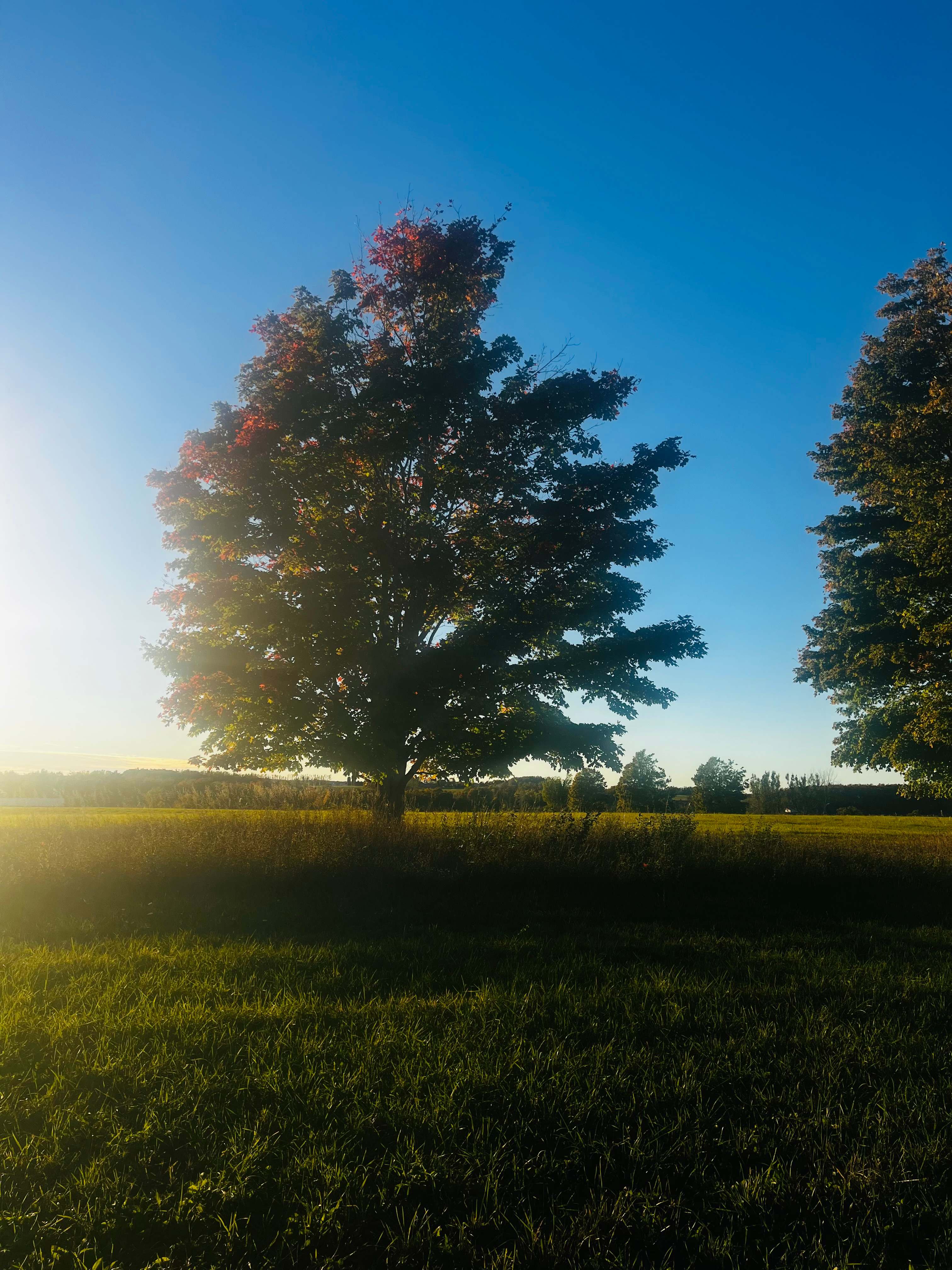 Heart of Lake Charlevoix