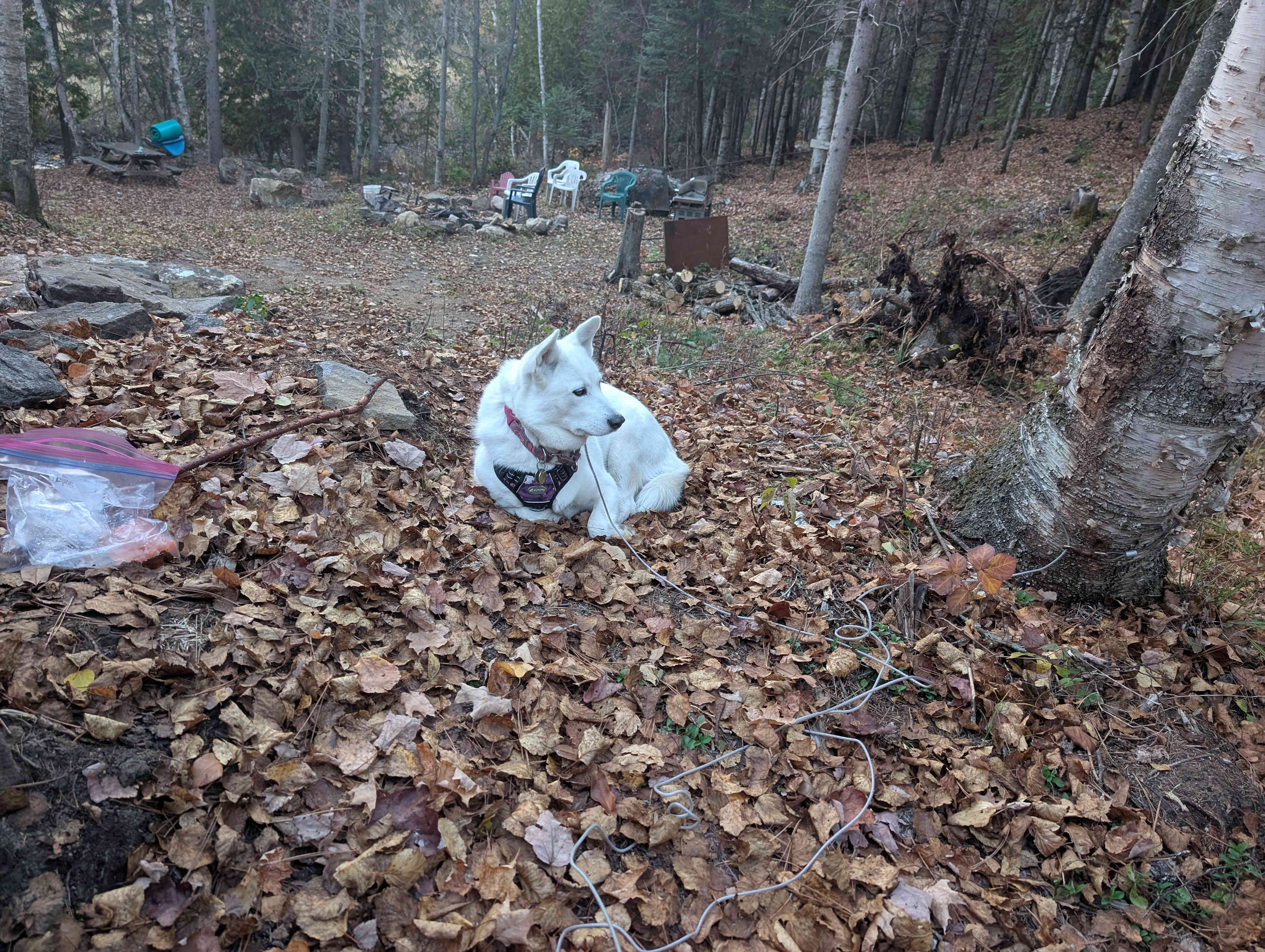Rockingham Creek Valley