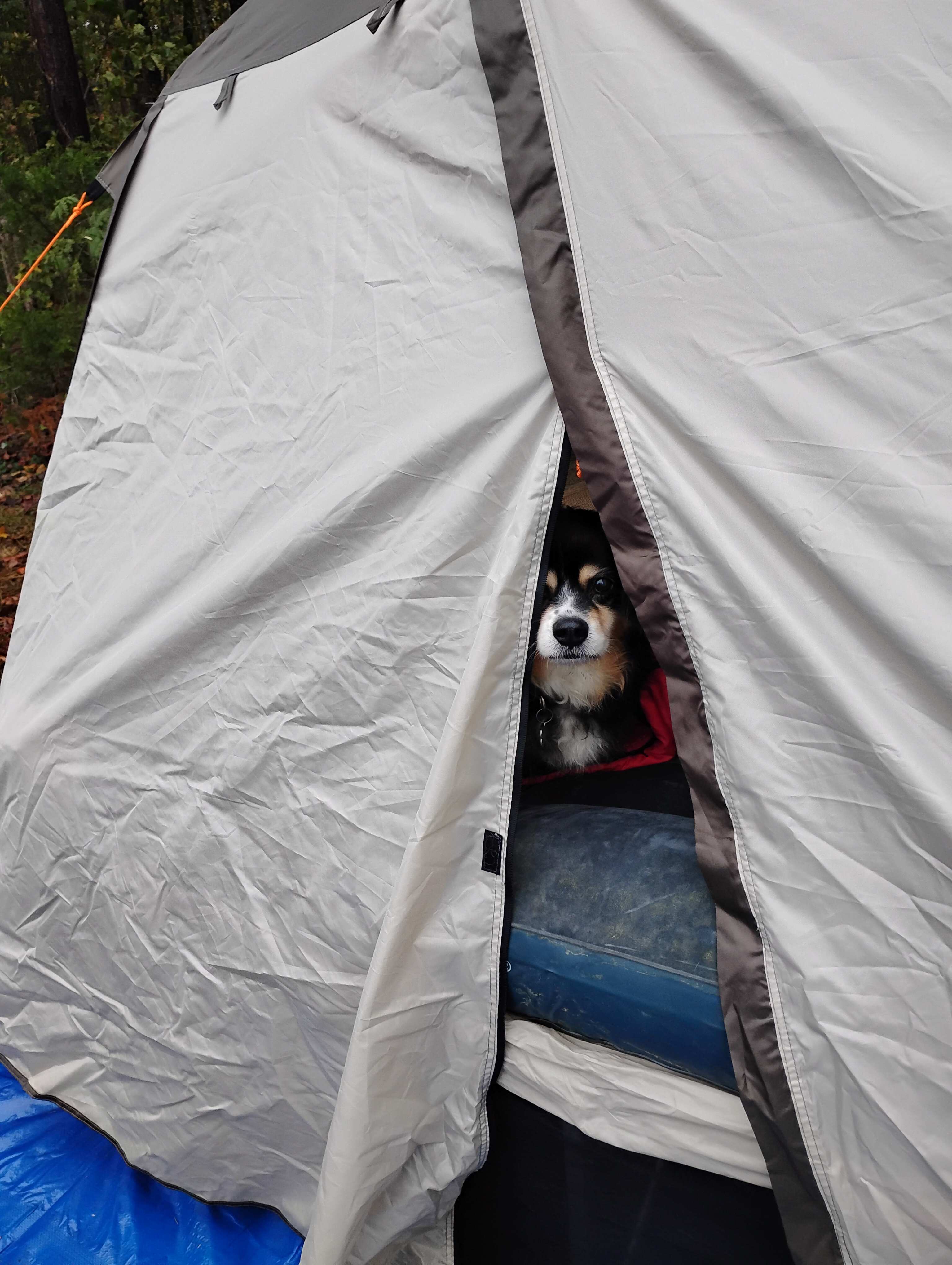 Mickey, Loves Lucky Under The Stars!