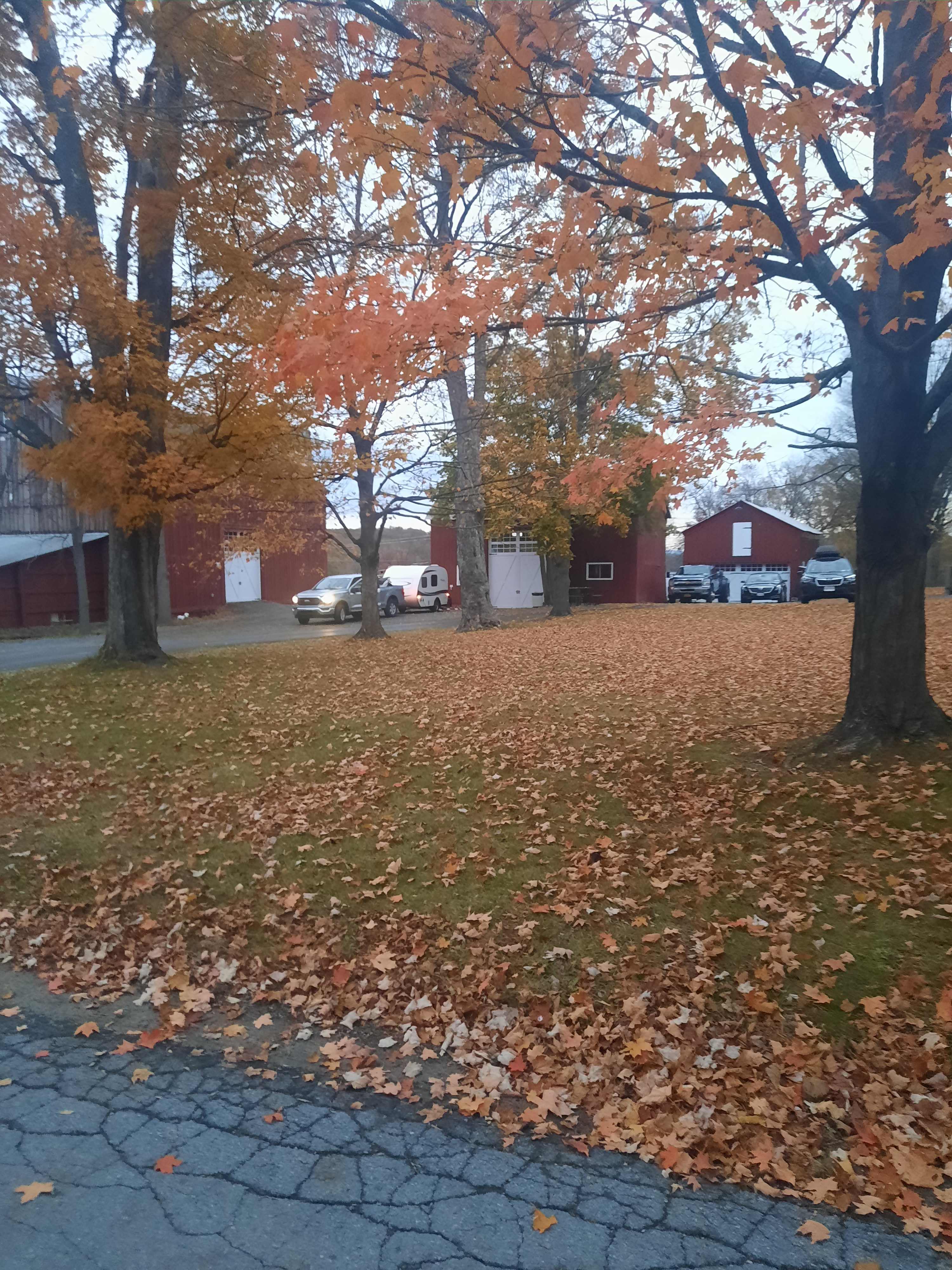 Dominion House Farm and Trails
