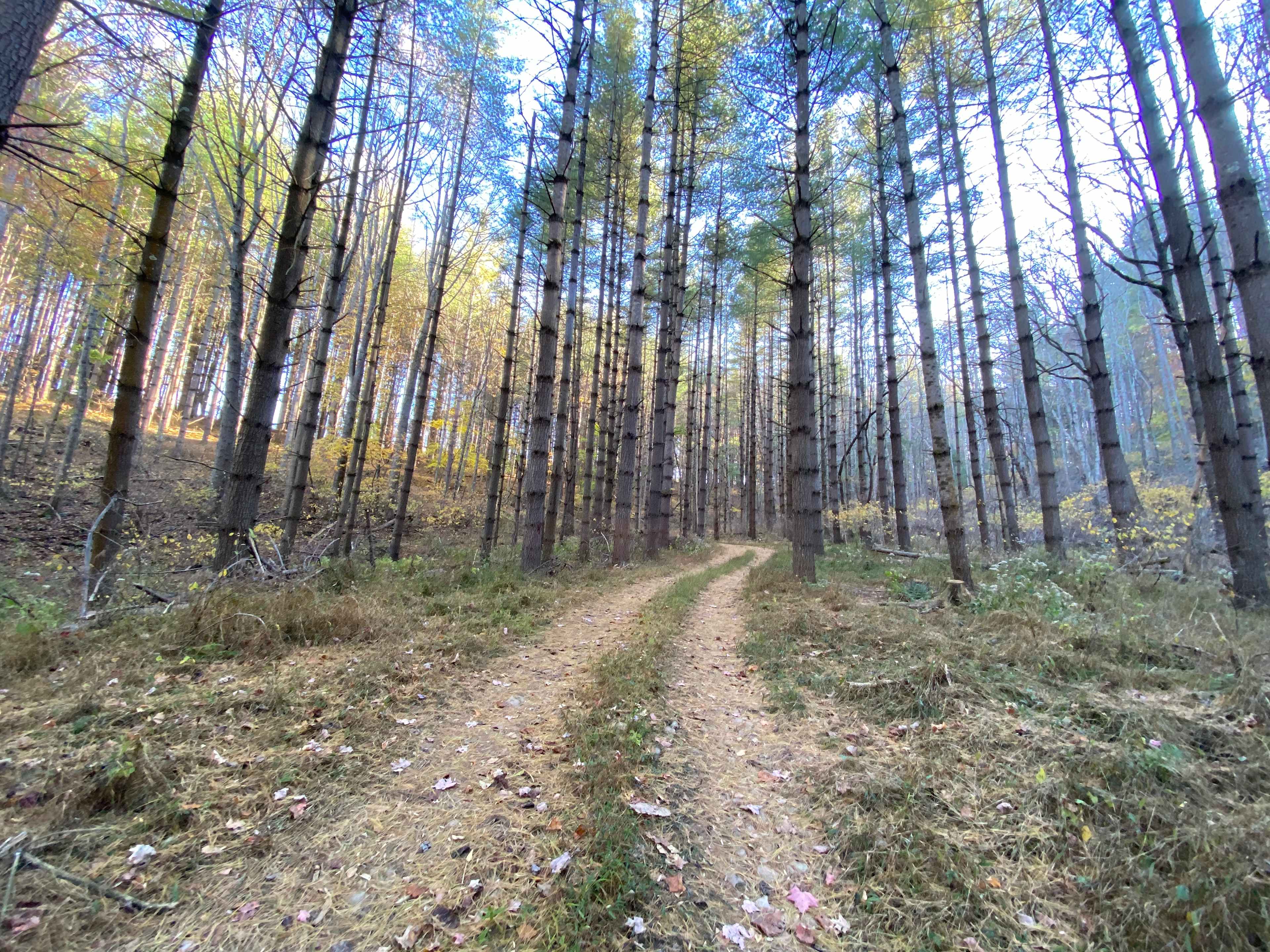 Peak A View Farm & Camp