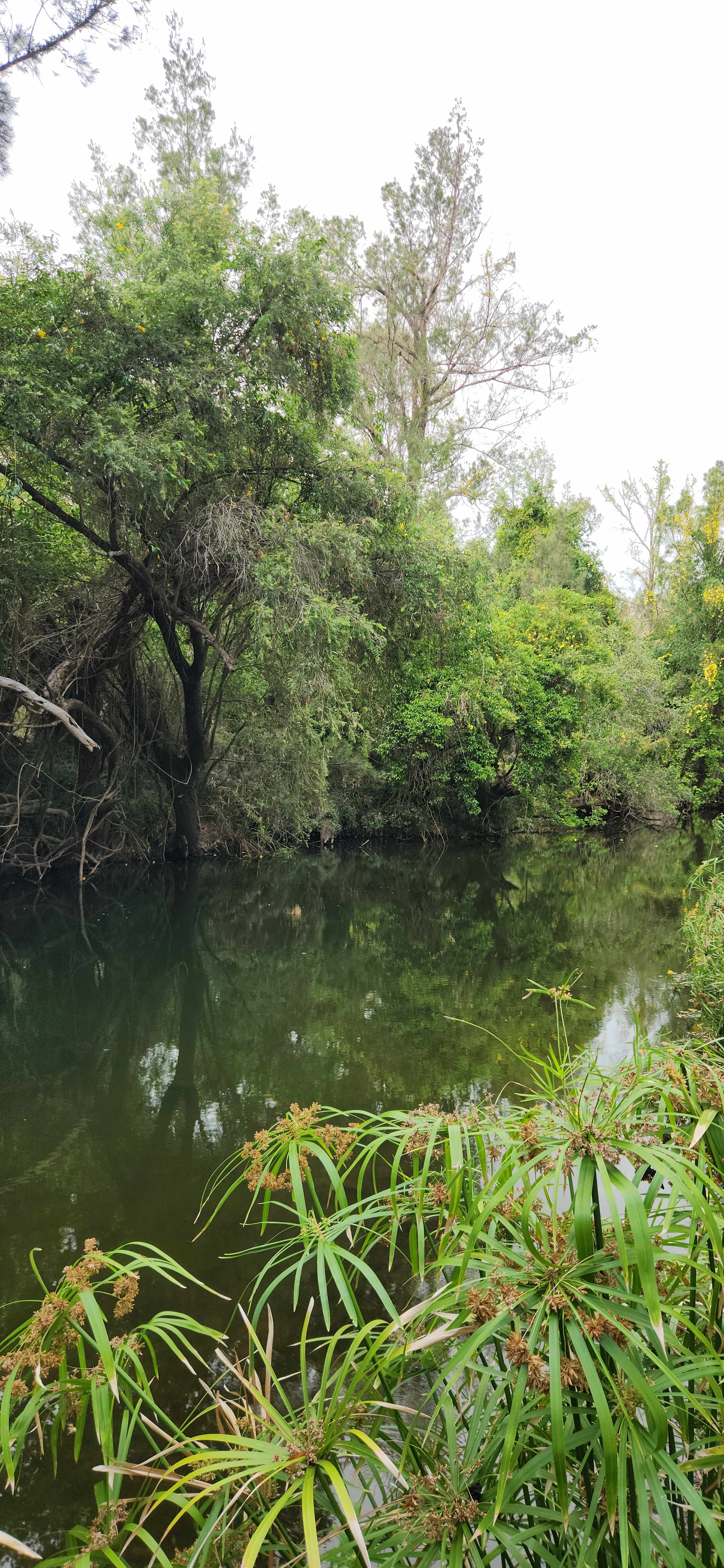 Creekside Camping and Golf