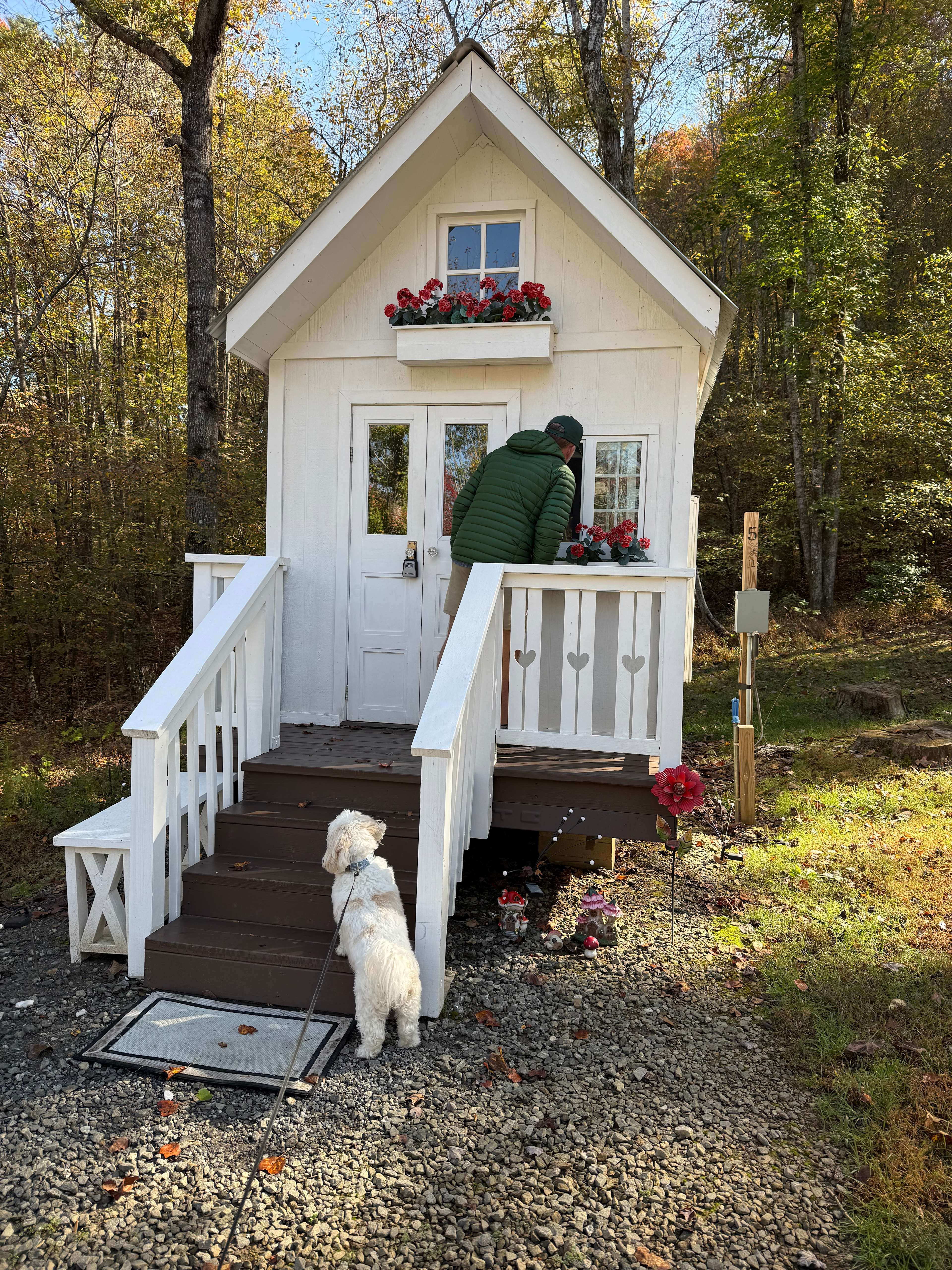 Magical Mountain Resorts