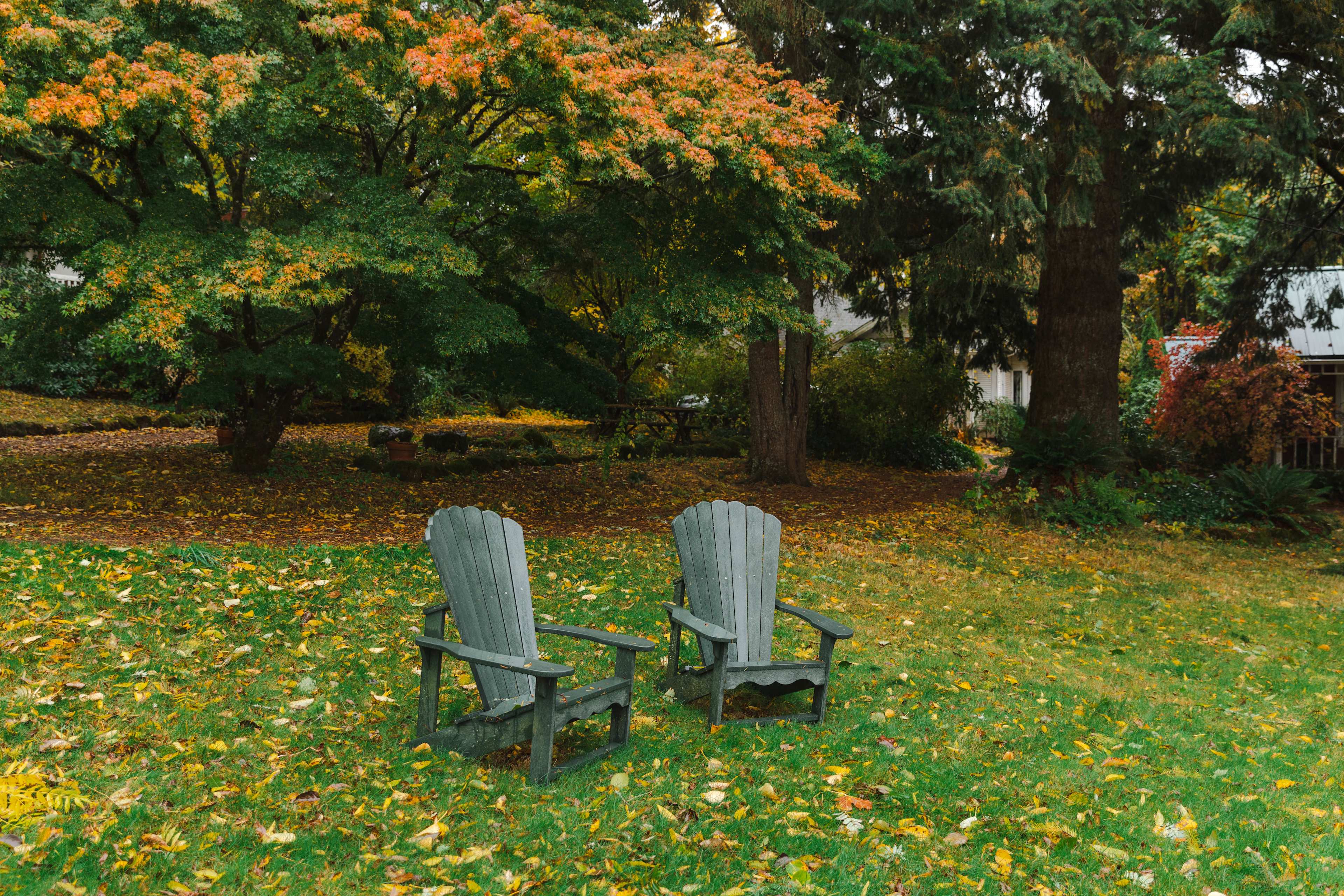 Chairs on the property to take in the views