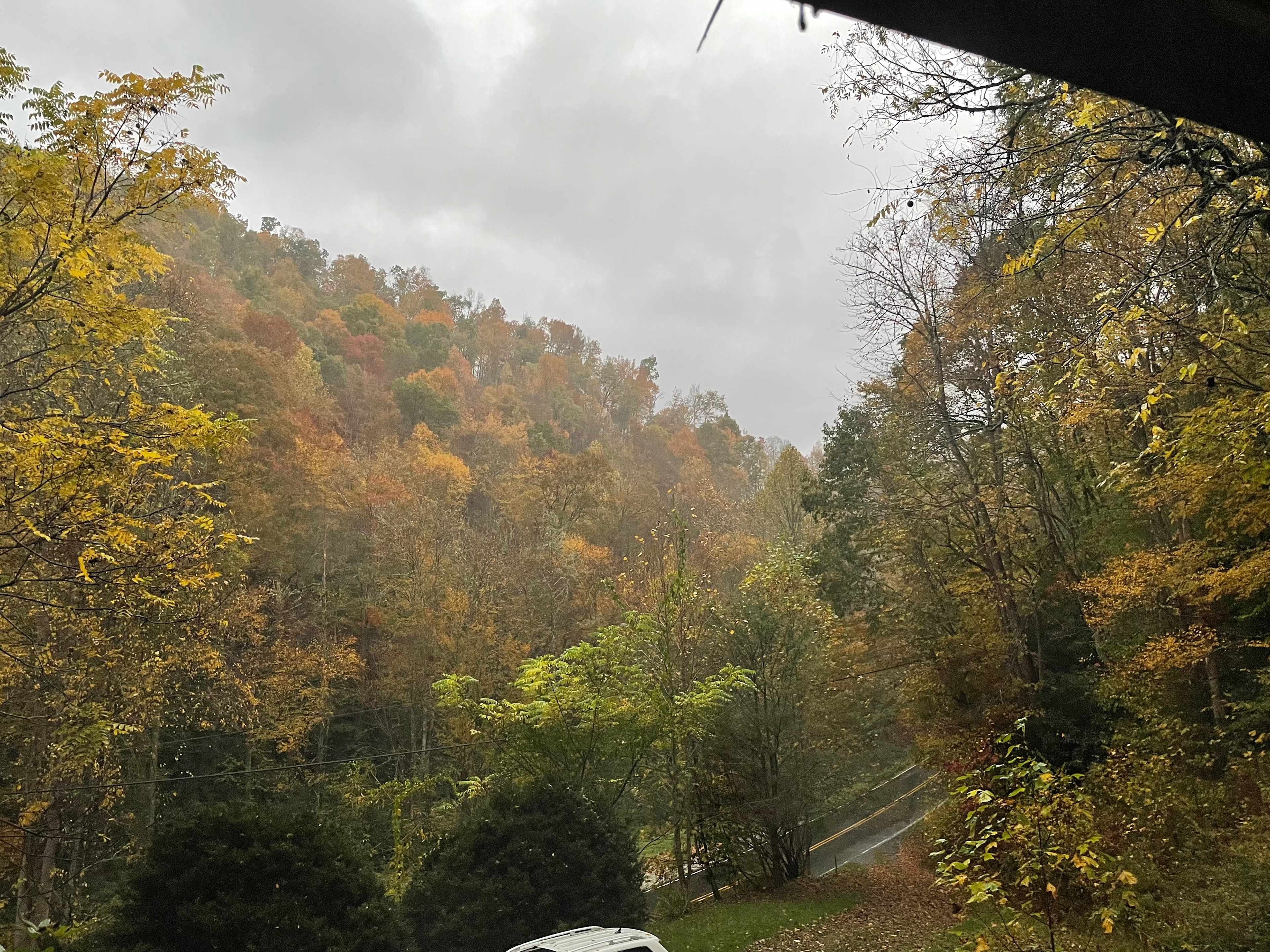 The Cabins At Long Branch