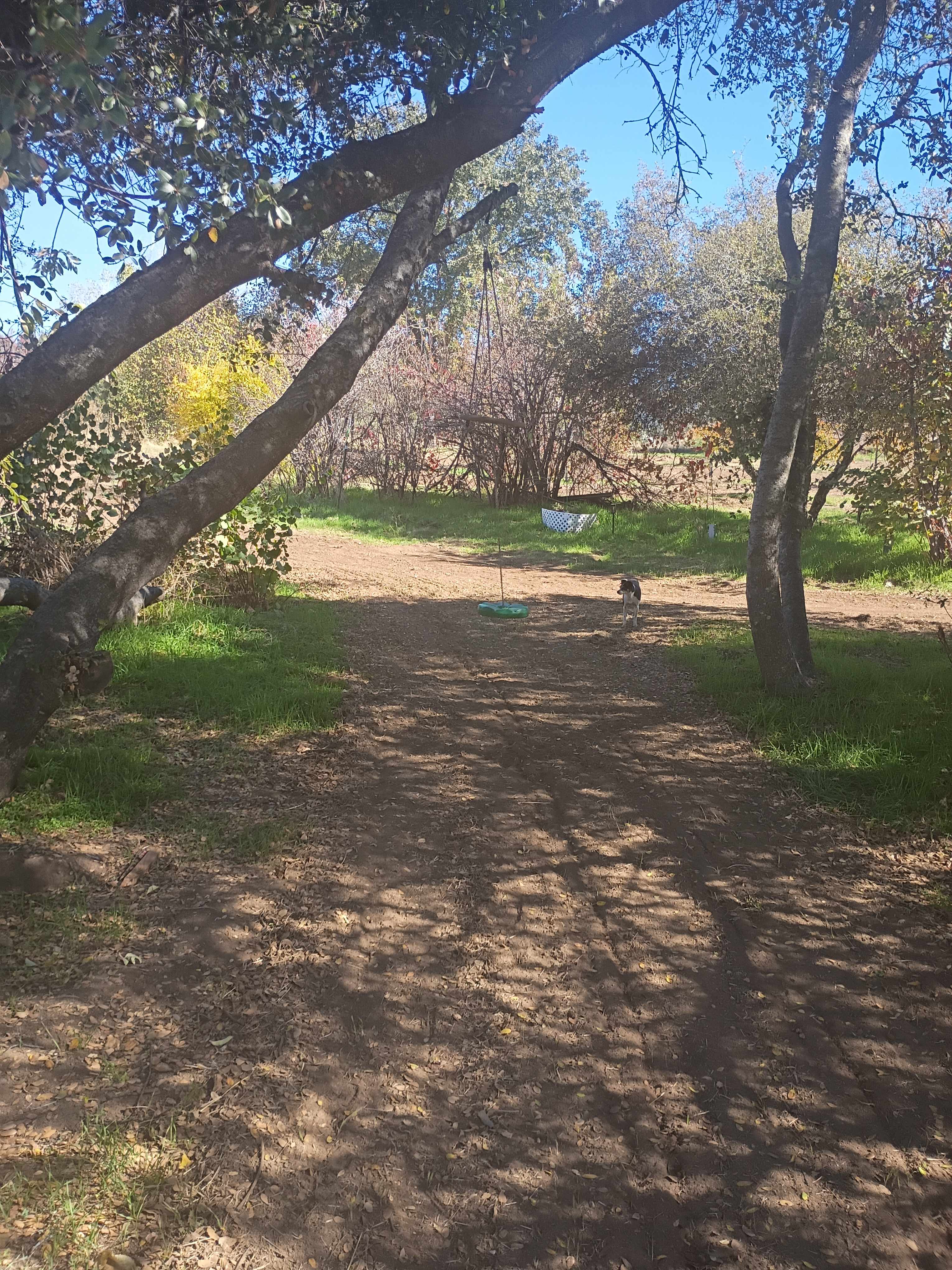 View of Site 1 pull through. 