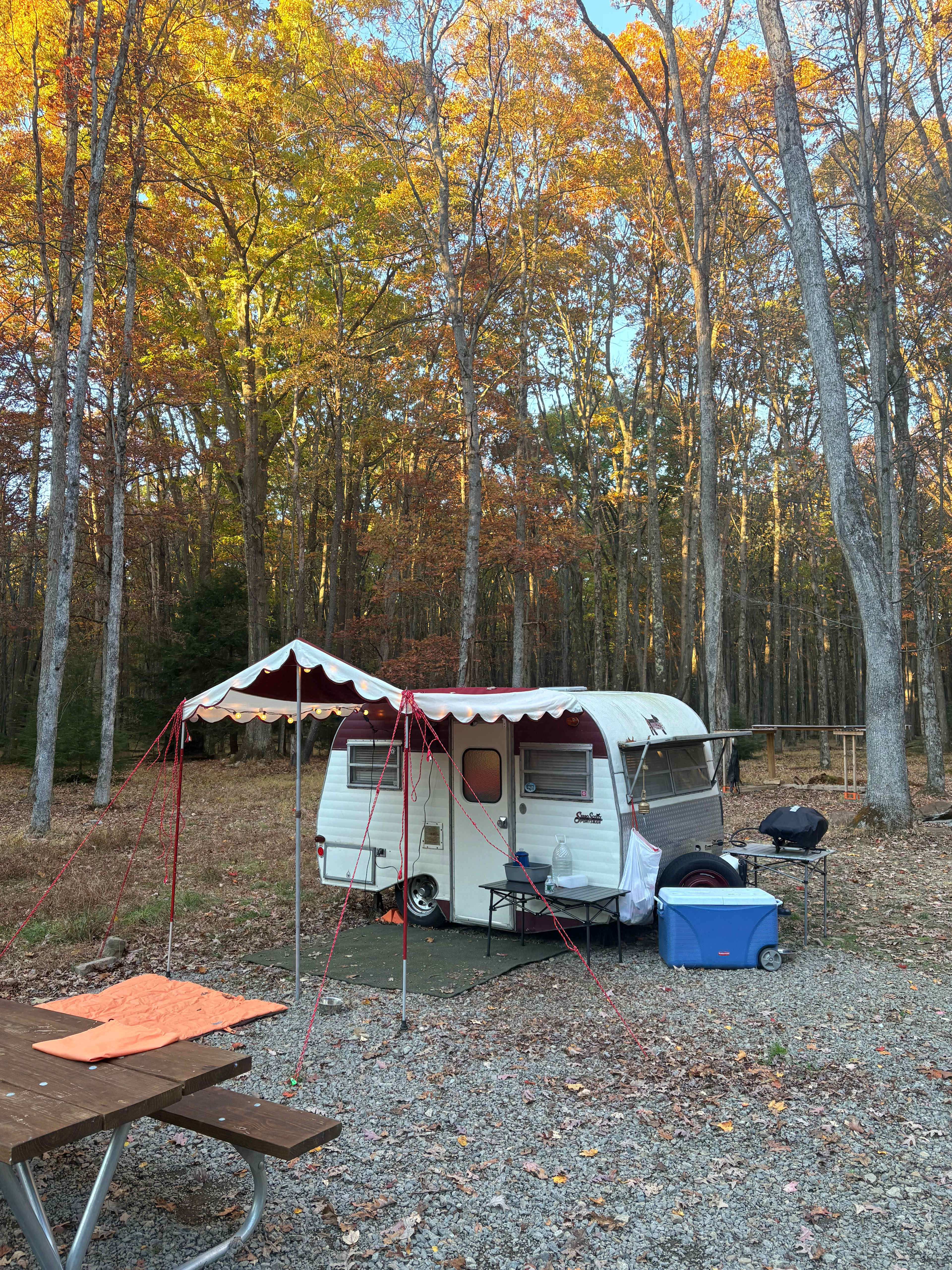 Clear Creek Cook Forest Campsite