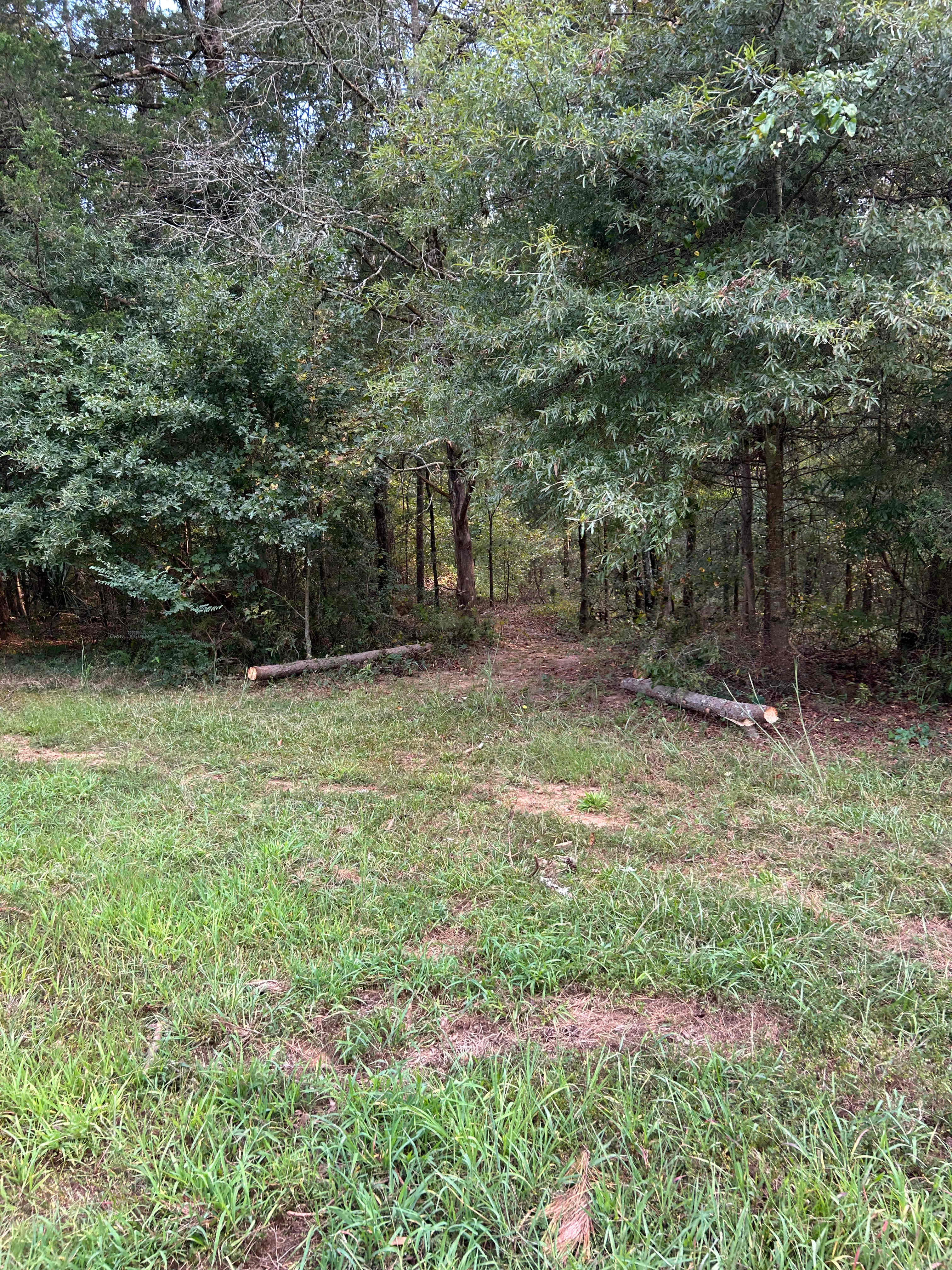 Fruit of the Vine Campground