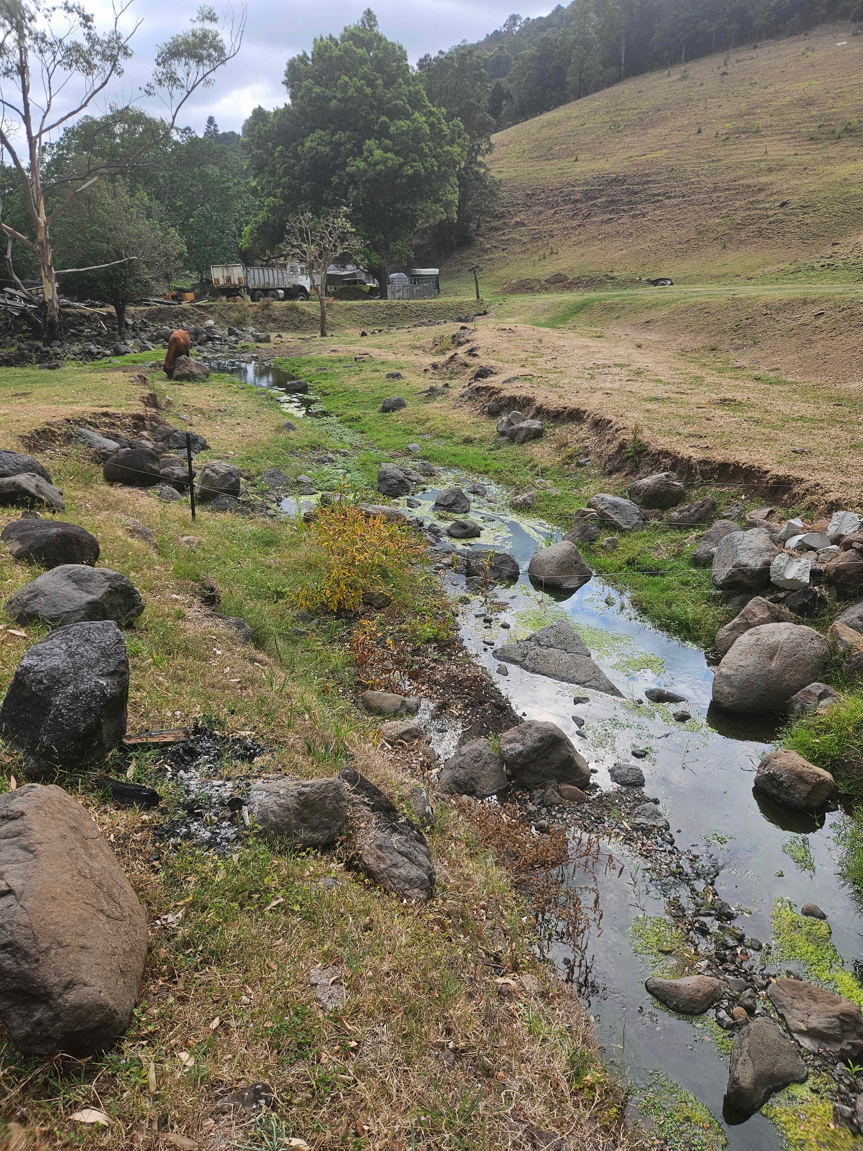 Frog’s Hollow Scenic Rim
