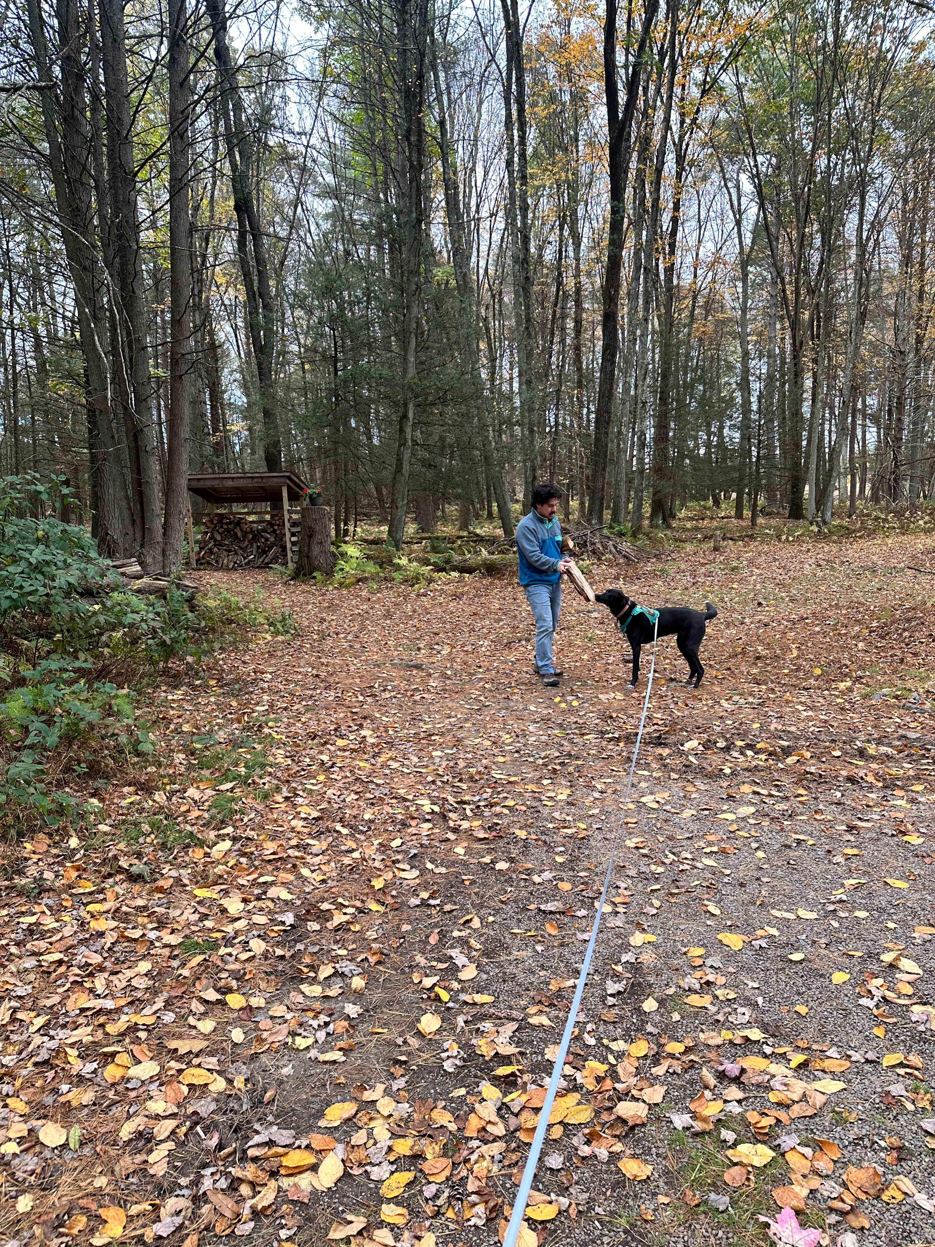 Paper Mill Pines Glamping Getaway