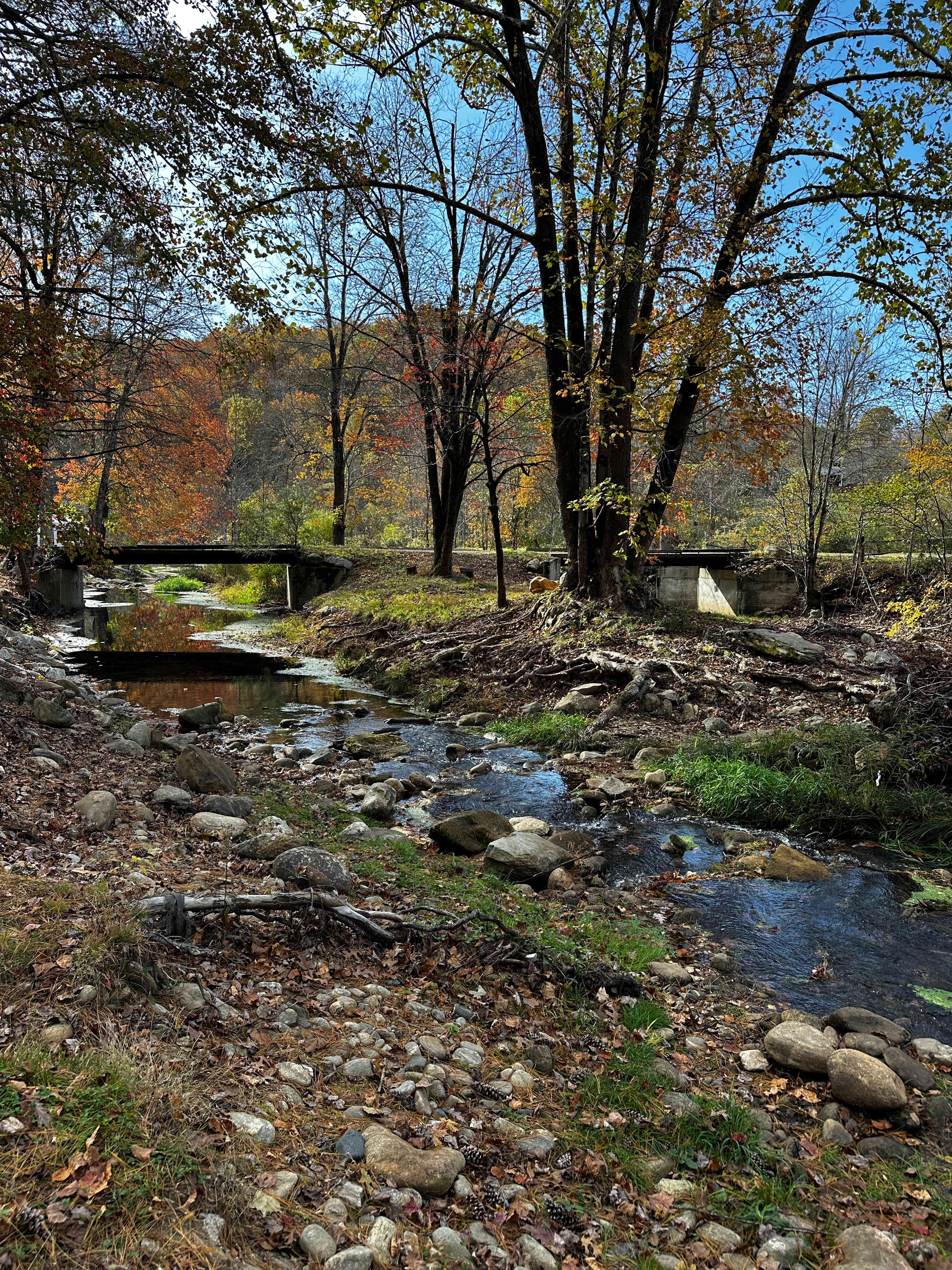 At the Ridge Camp-Riverside Escapes