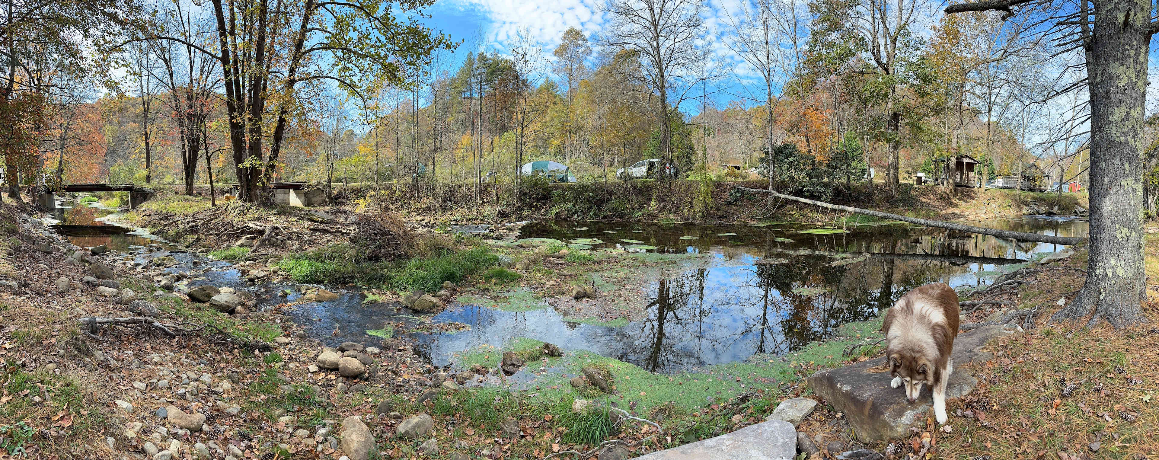 At the Ridge Camp-Riverside Escapes