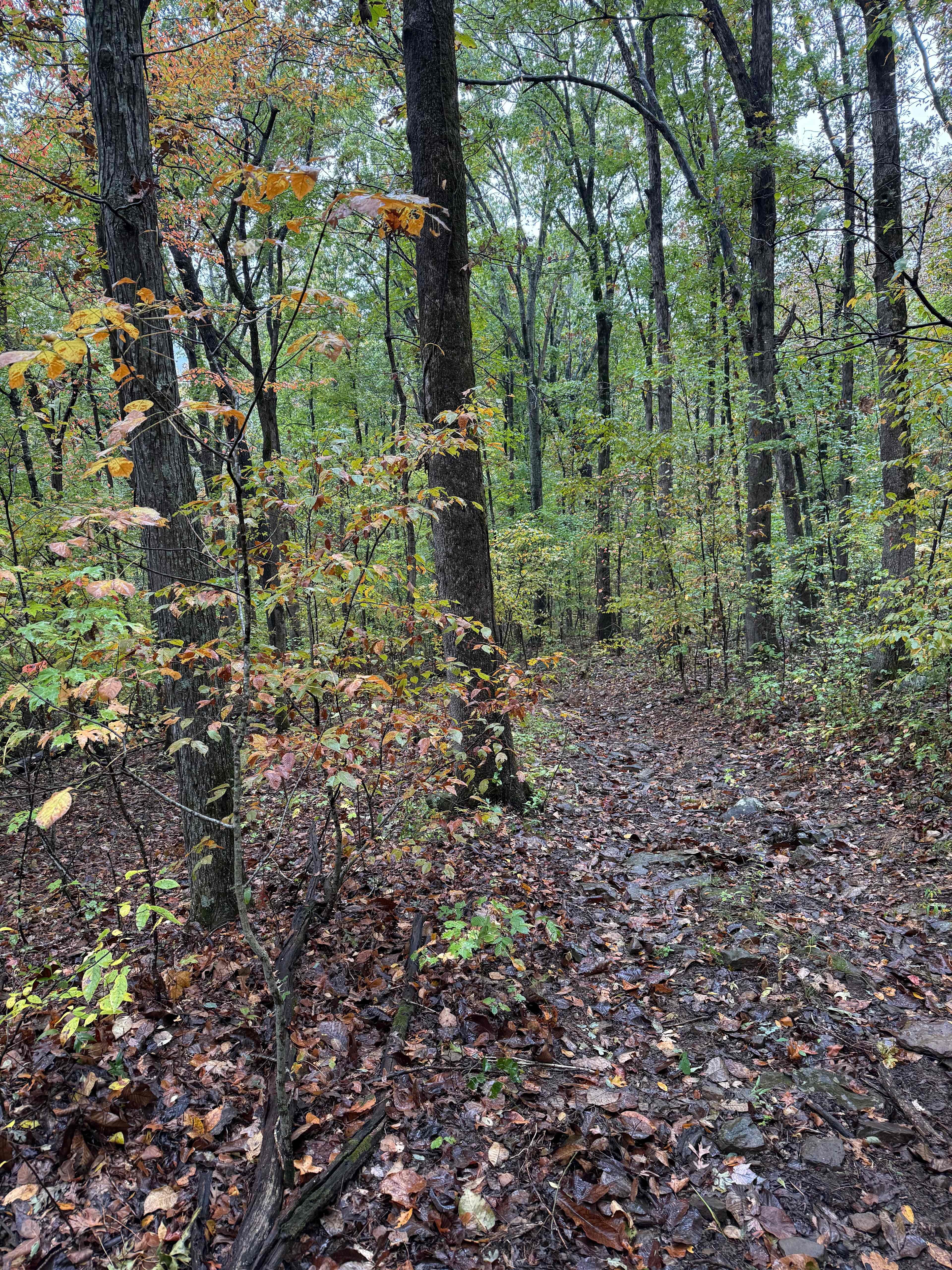 Valley of peace campground