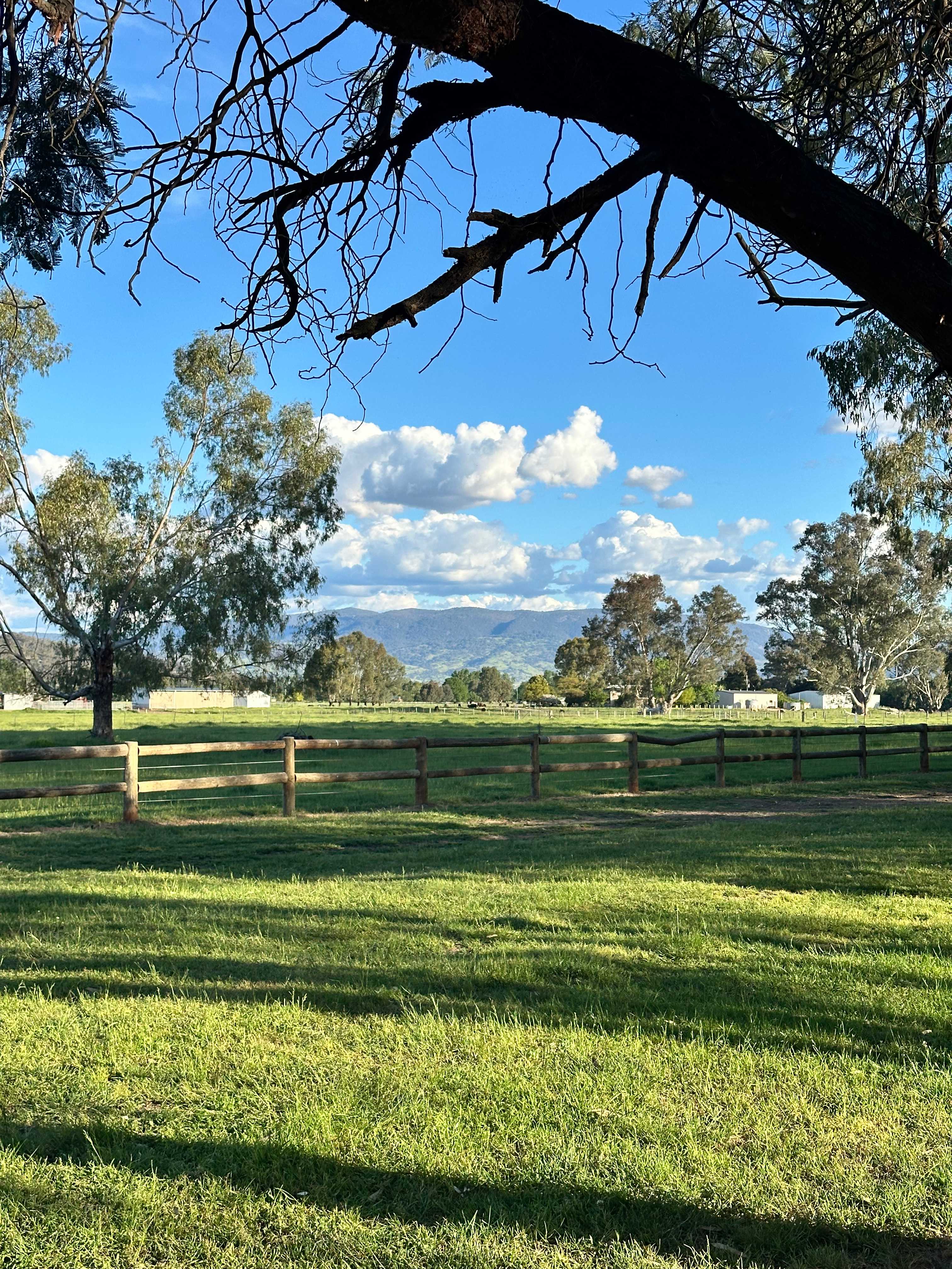 Bahwidgee on Tumut River
