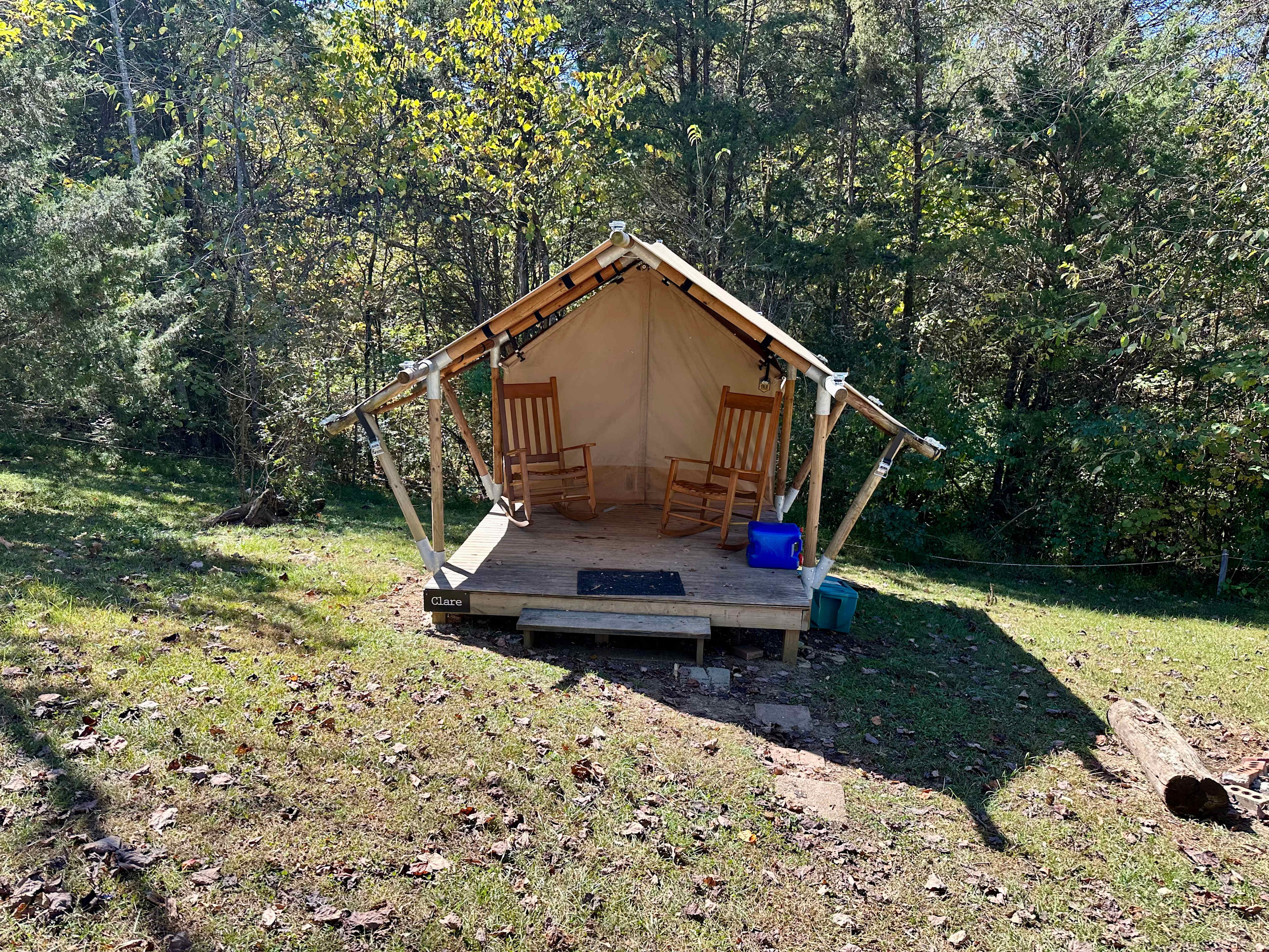 Clare in the morning light